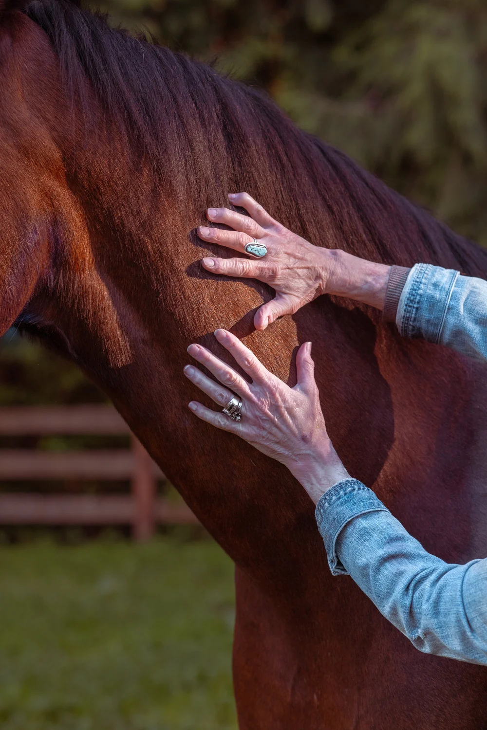 Copy of 1ZOS_4106.jpg