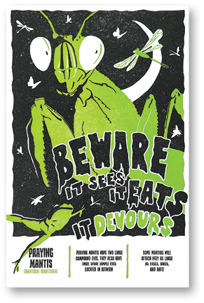heavyjeens_bewareprayingmantis.png