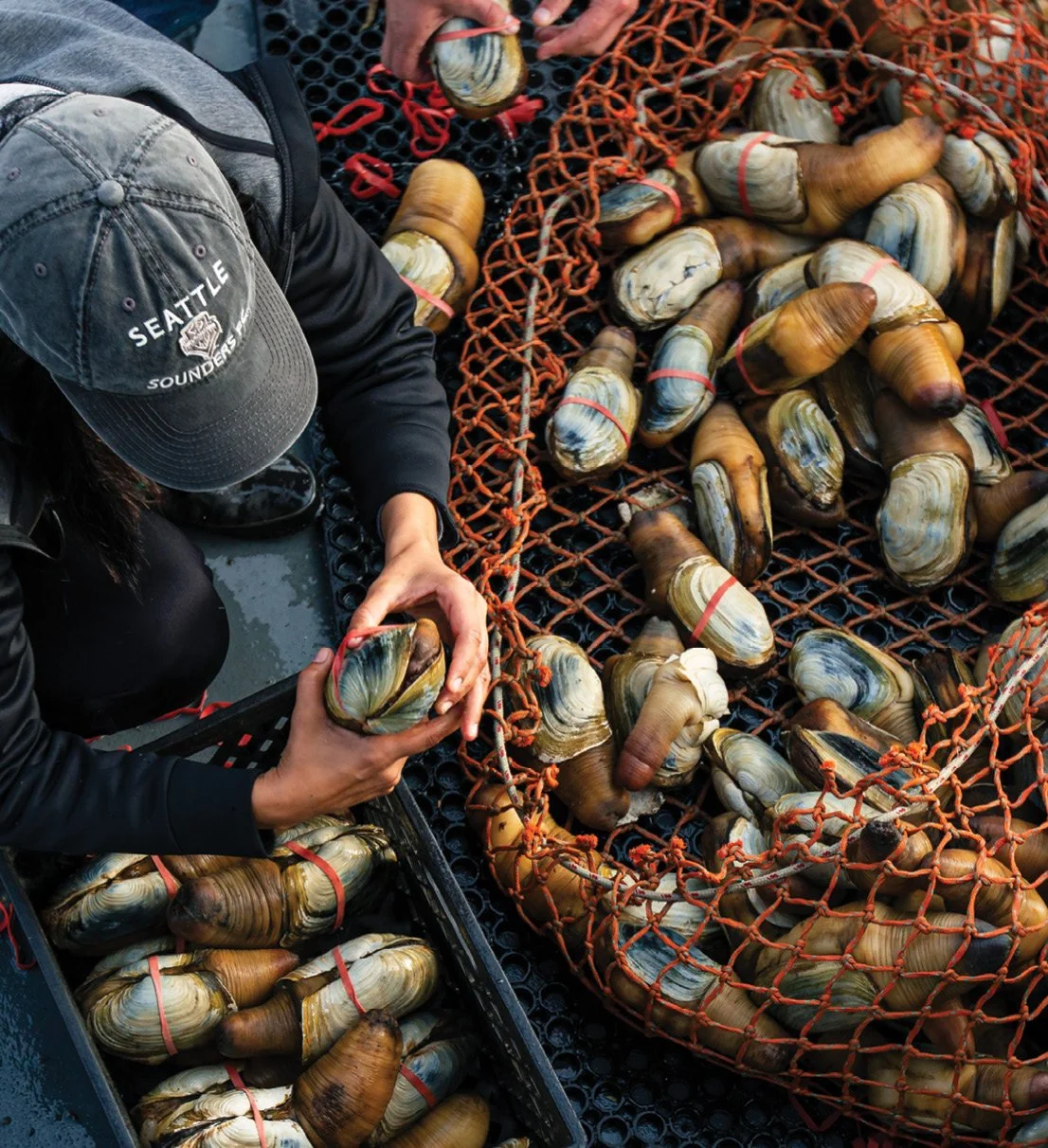 BKP_Suquamish_divers_geoduck-00451.jpg