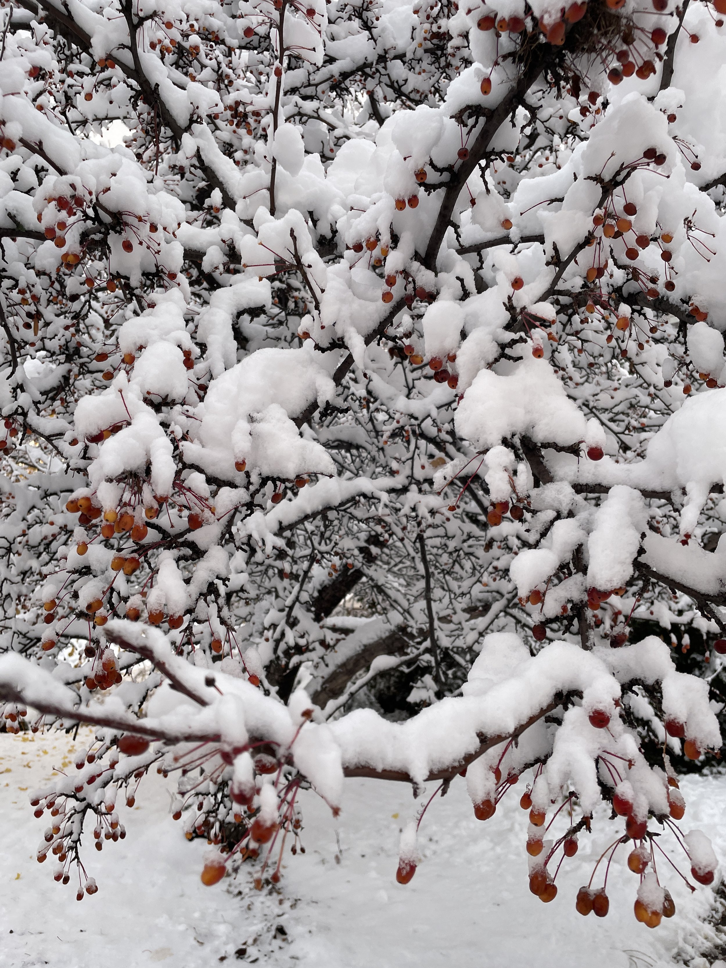 Becoming found in a story