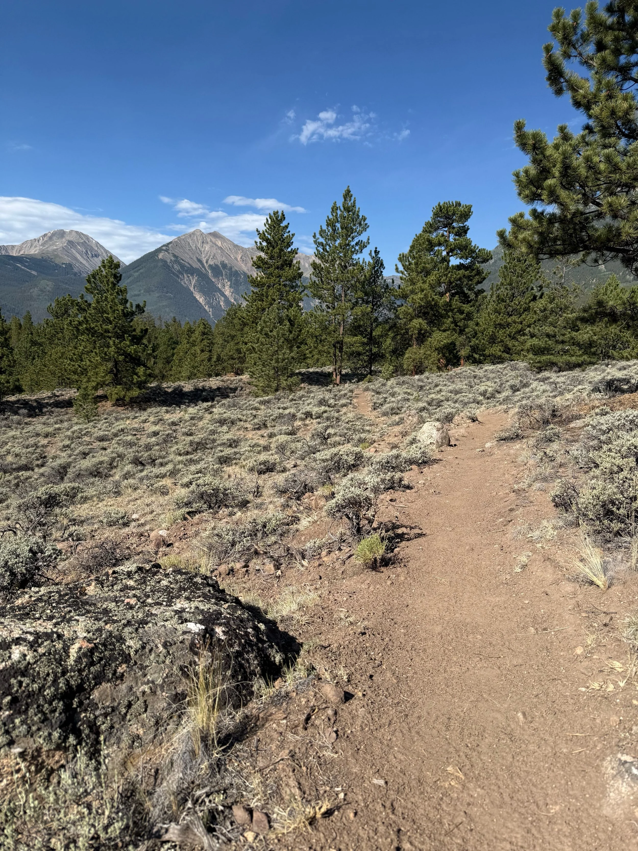 From blueprints to bootprints! 🥾👣 The Twin Lakes Connector Trail is taking shape! 

Soon you&rsquo;ll be able to roll it, run it, hike it, walk it, or pack it! When the ribbon drops, how are you exploring it first? 

#cloudcitywheelers #trailbuildi