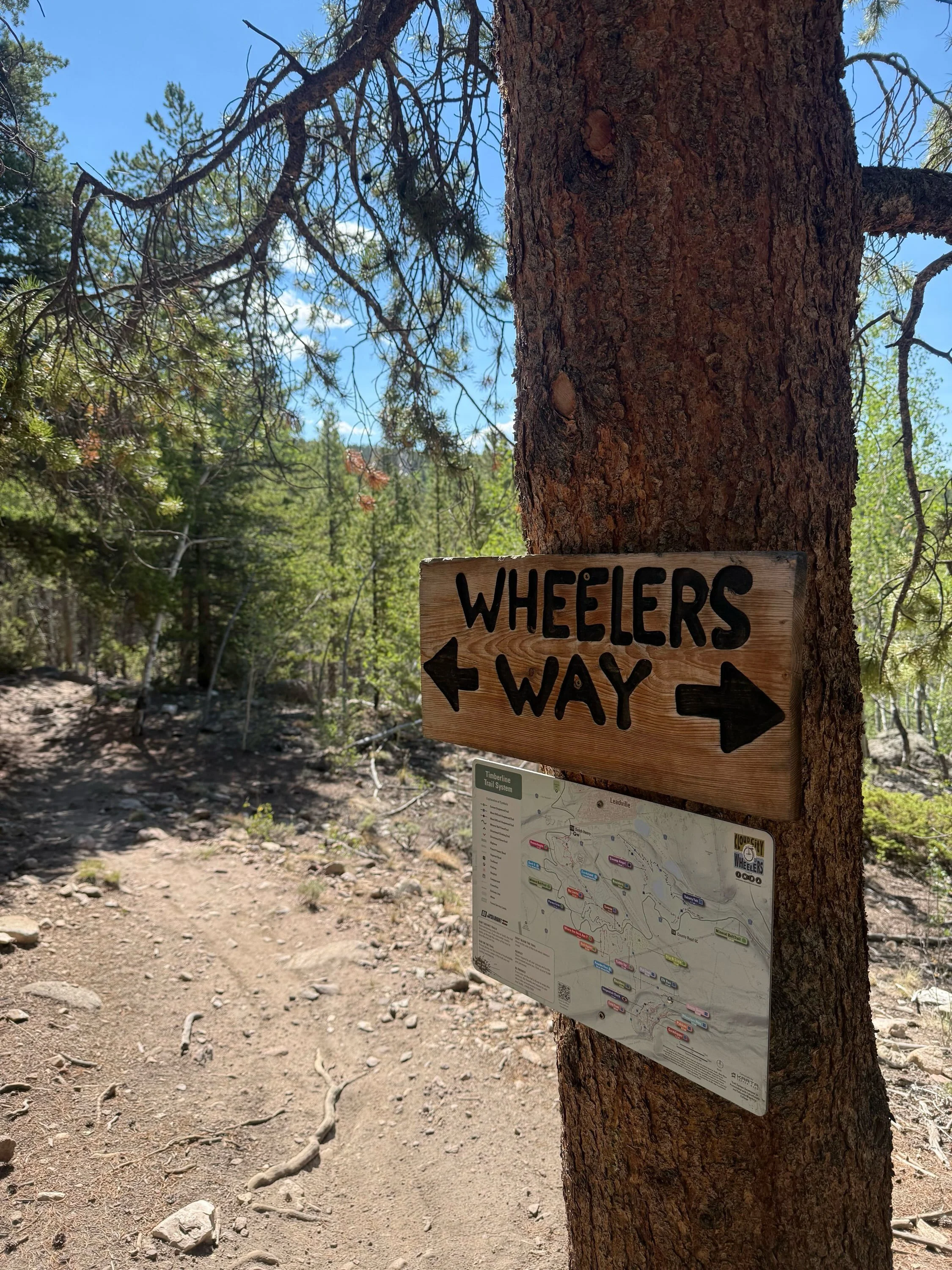 The Panthers are coming out to play! 😈🐾

We&rsquo;ve been busy prepping the Timberline Trails for this weekend&rsquo;s @comtbleague season opener! Shredders will take on Boulders, Old Chub, Upper Deck, Wheelers Way, and Boonedoggle.

Come catch the