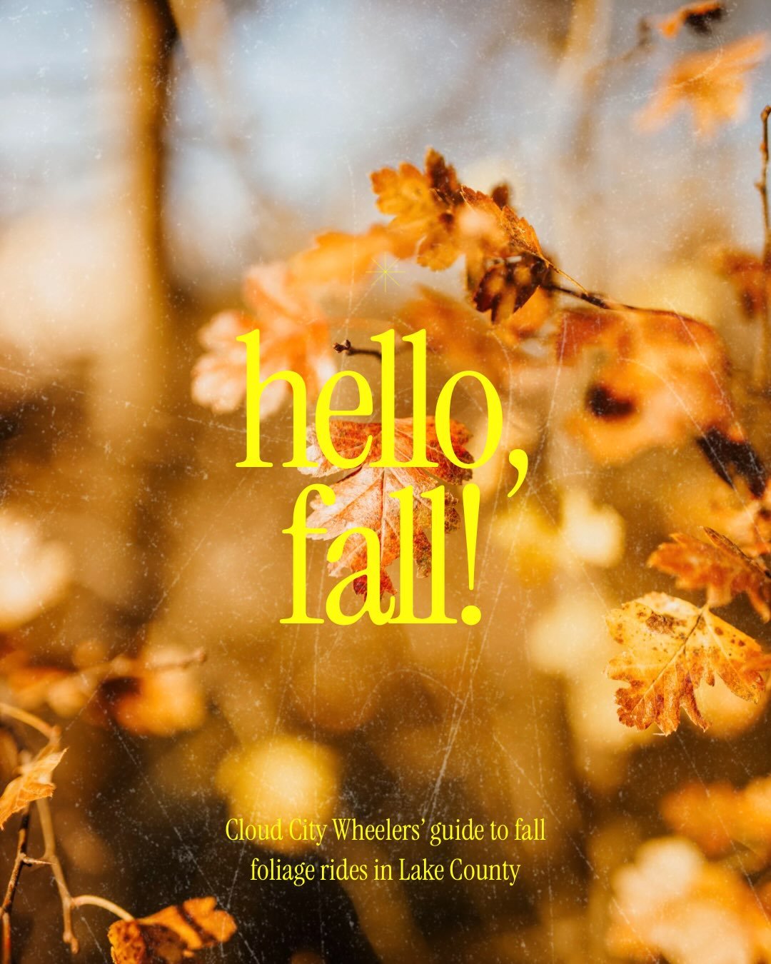 Our favorite fall rides. Full stop. No further explanation needed. IYKYK. 

#leafpeeping #leafpeepers #fallfoliage #coloradofall #coloradofallcolors