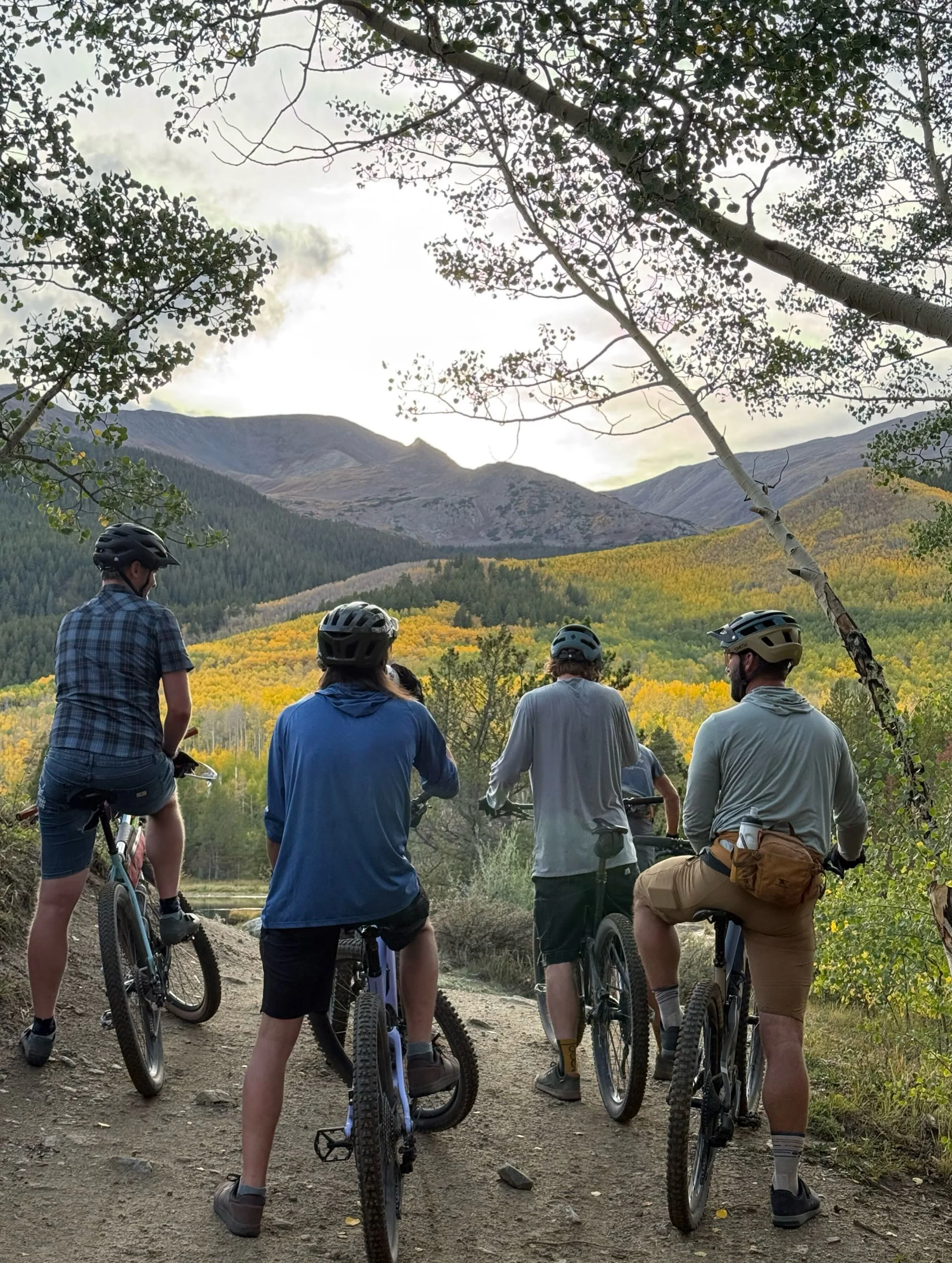 Tuesday&rsquo;s group ride is a CAN&rsquo;T MISS: a golden leaf bike tour through Colorado&rsquo;s world-famous aspens. 🍂🚲

Check out these breathtaking shots&mdash;and then come live it yourself! 

📍 Meet at Cycles of Life
🛫Takeoff at 5:30 PM

#