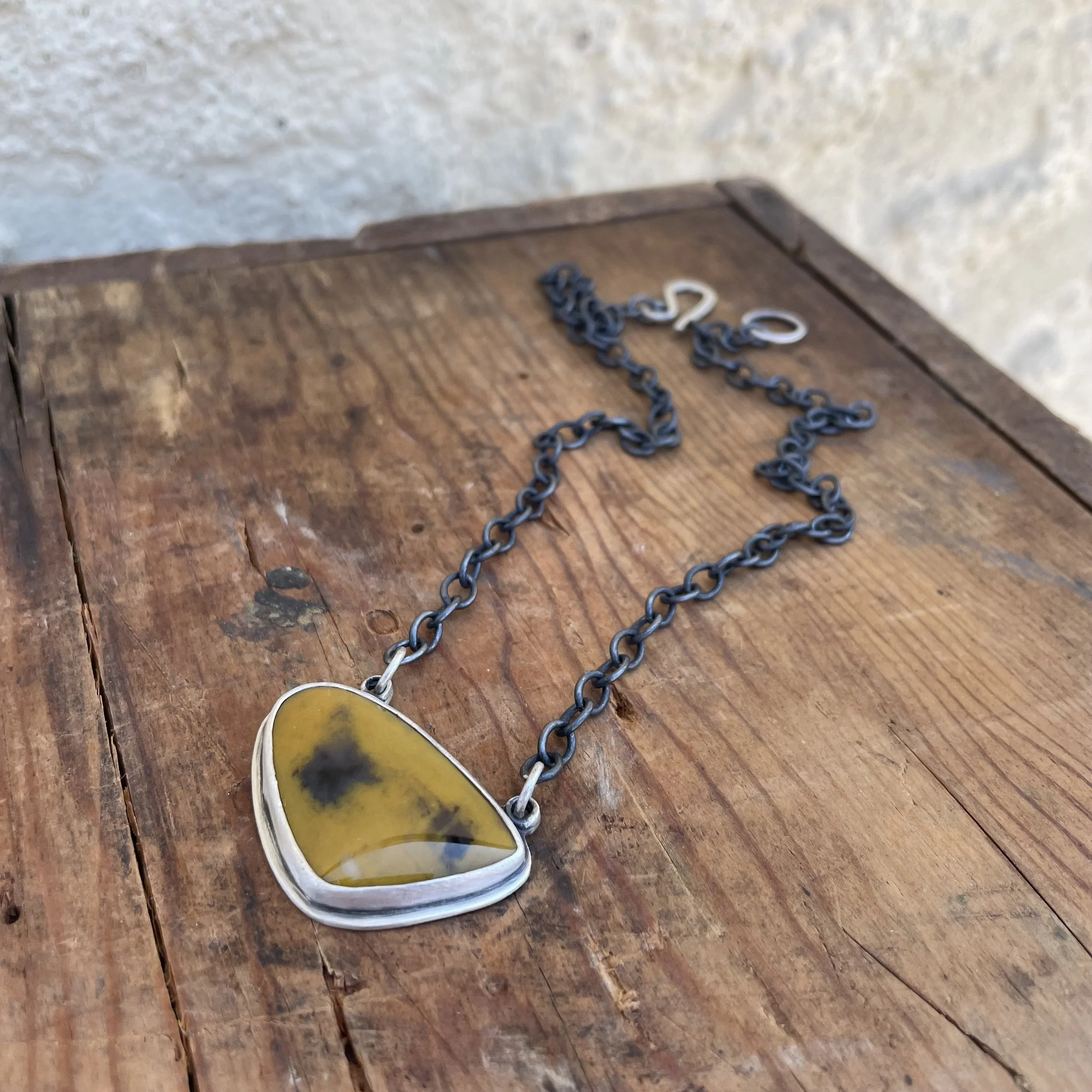 For Ellen- Petrified Wood Necklace