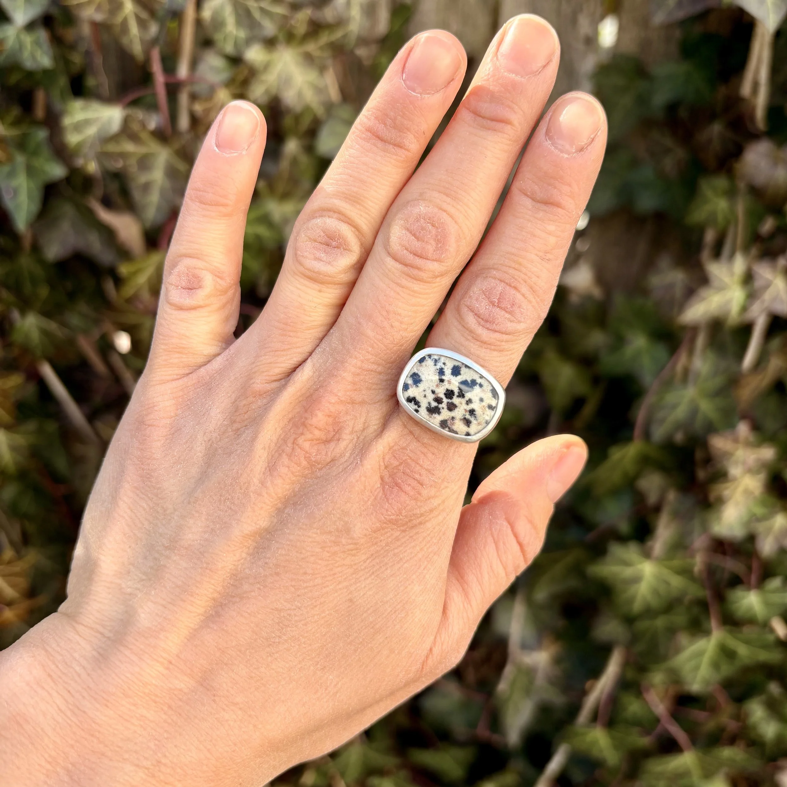 Dalmatian Jasper Statement Ring