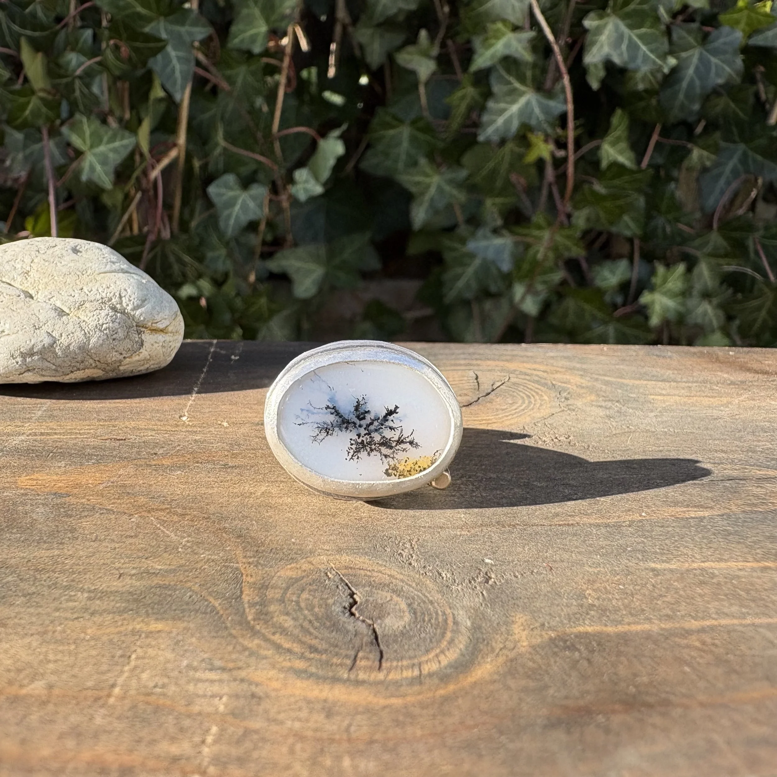 #5 Dendritic Agate with 14k Gold Dotted Ring