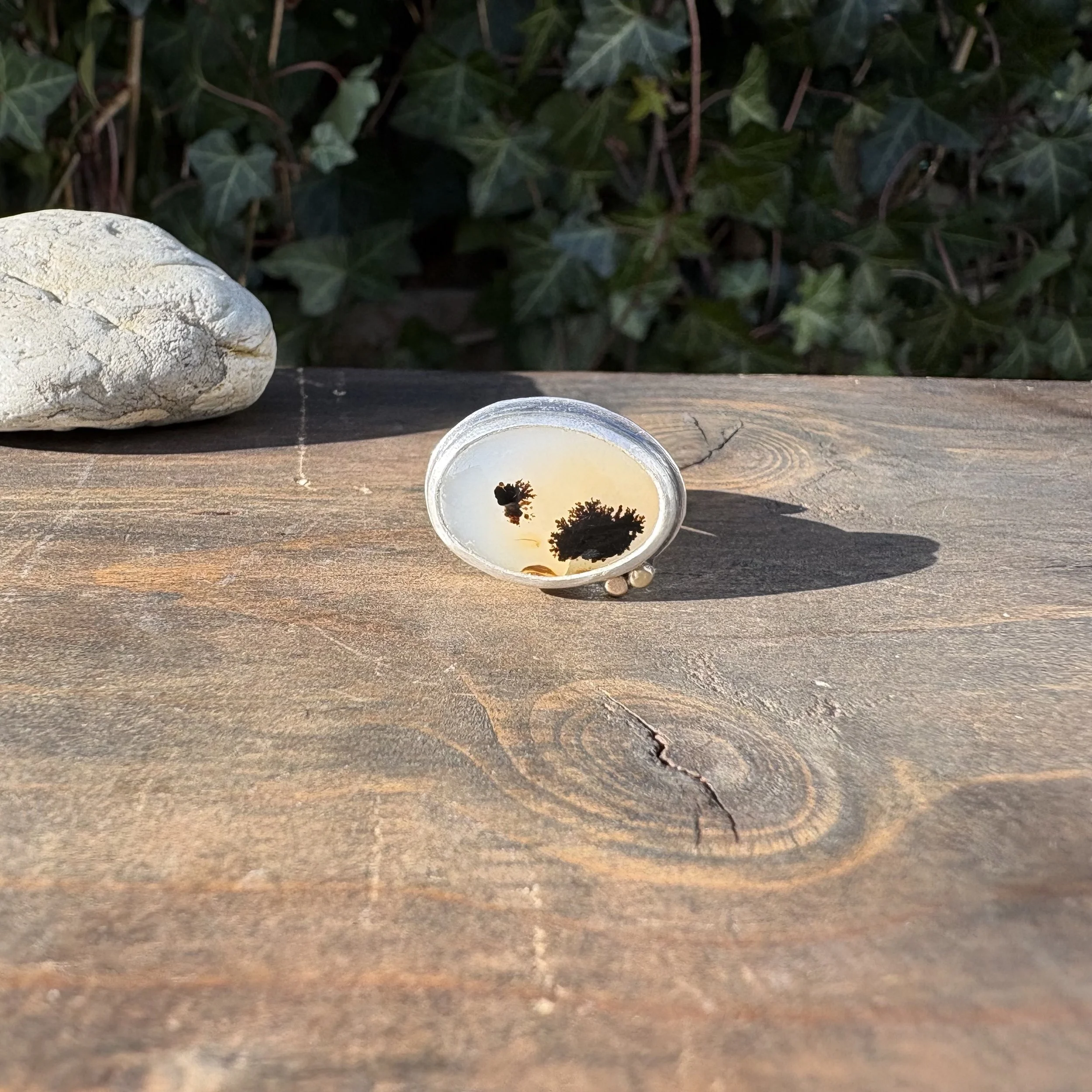 #4 Dendritic Agate with 14k Gold Dotted Ring