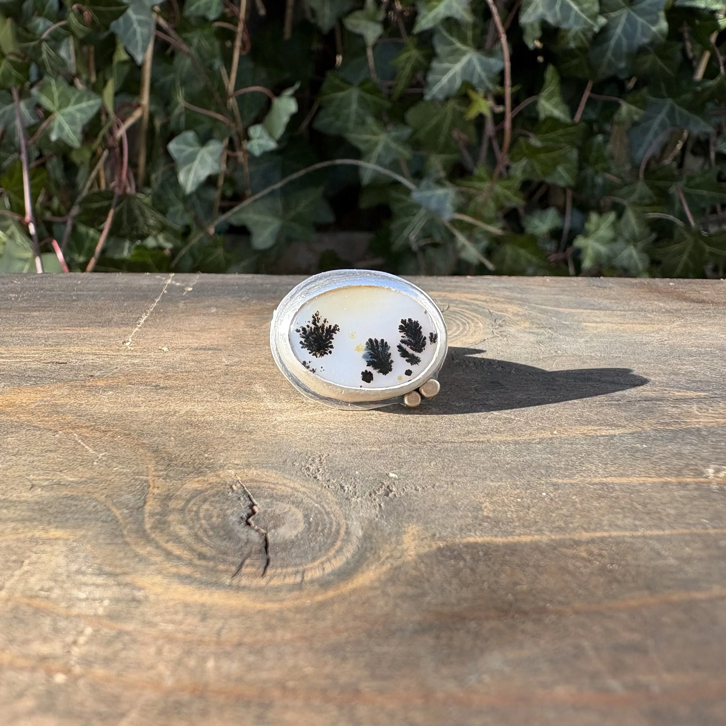 #1 Dendritic Agate with 14k Gold Dotted Ring