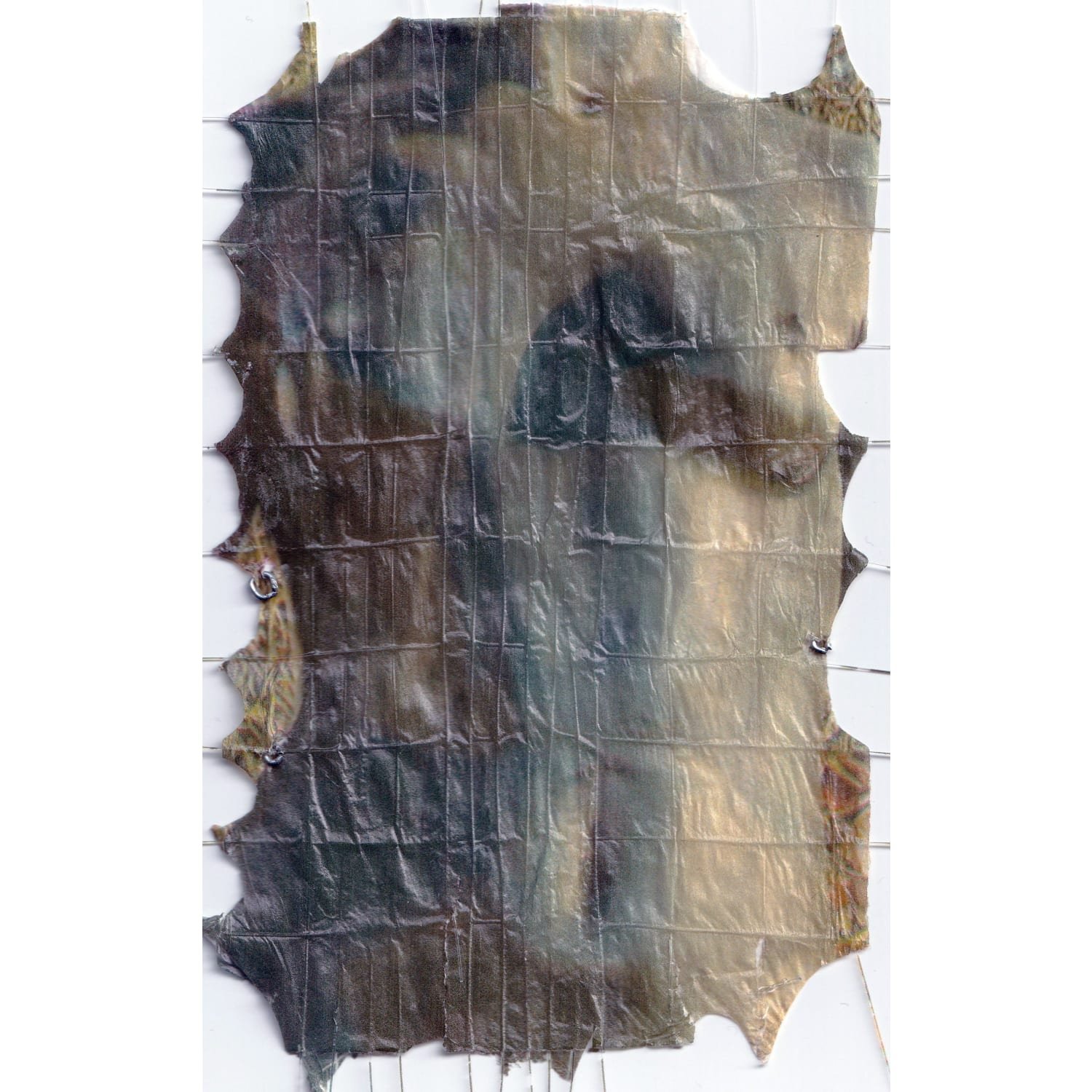 41248_CO_reciNlpC06fjbkZm6.jpg