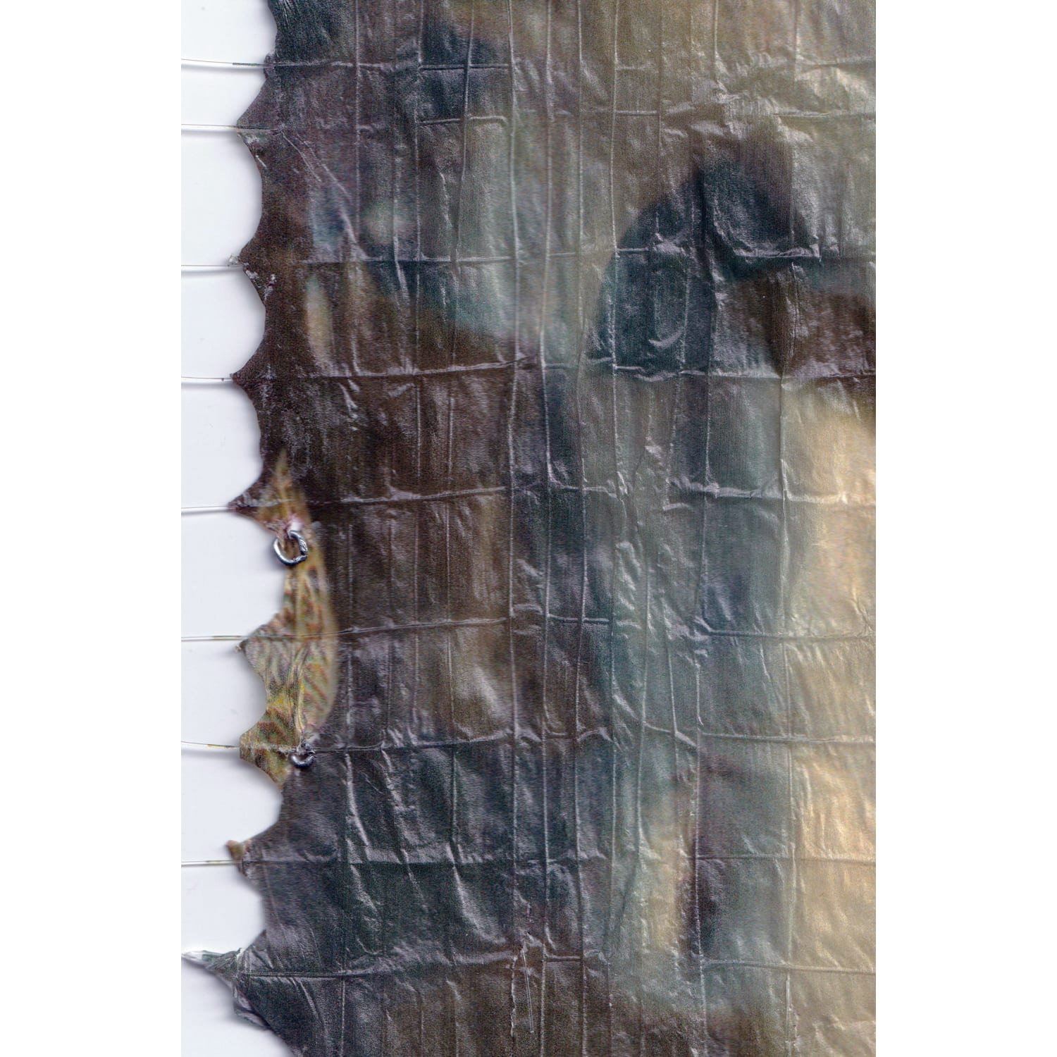 41247_DE_recsfnahuVAHU43cv.jpg
