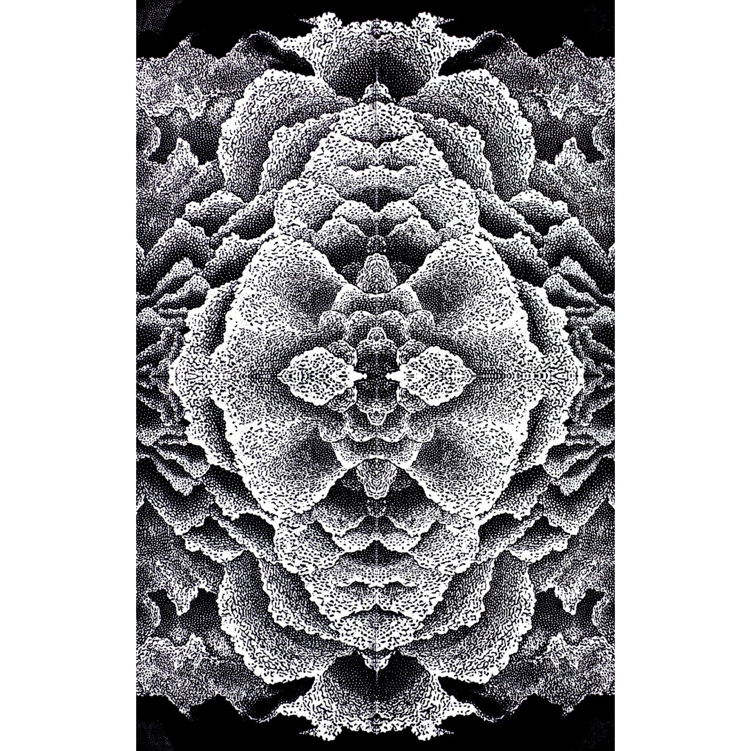 40749_CO_recFutgxvNVwMmxR0.jpg