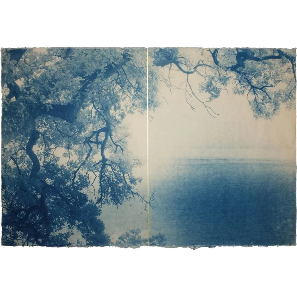 LUCA ORTIS | SHODO 3, 2024