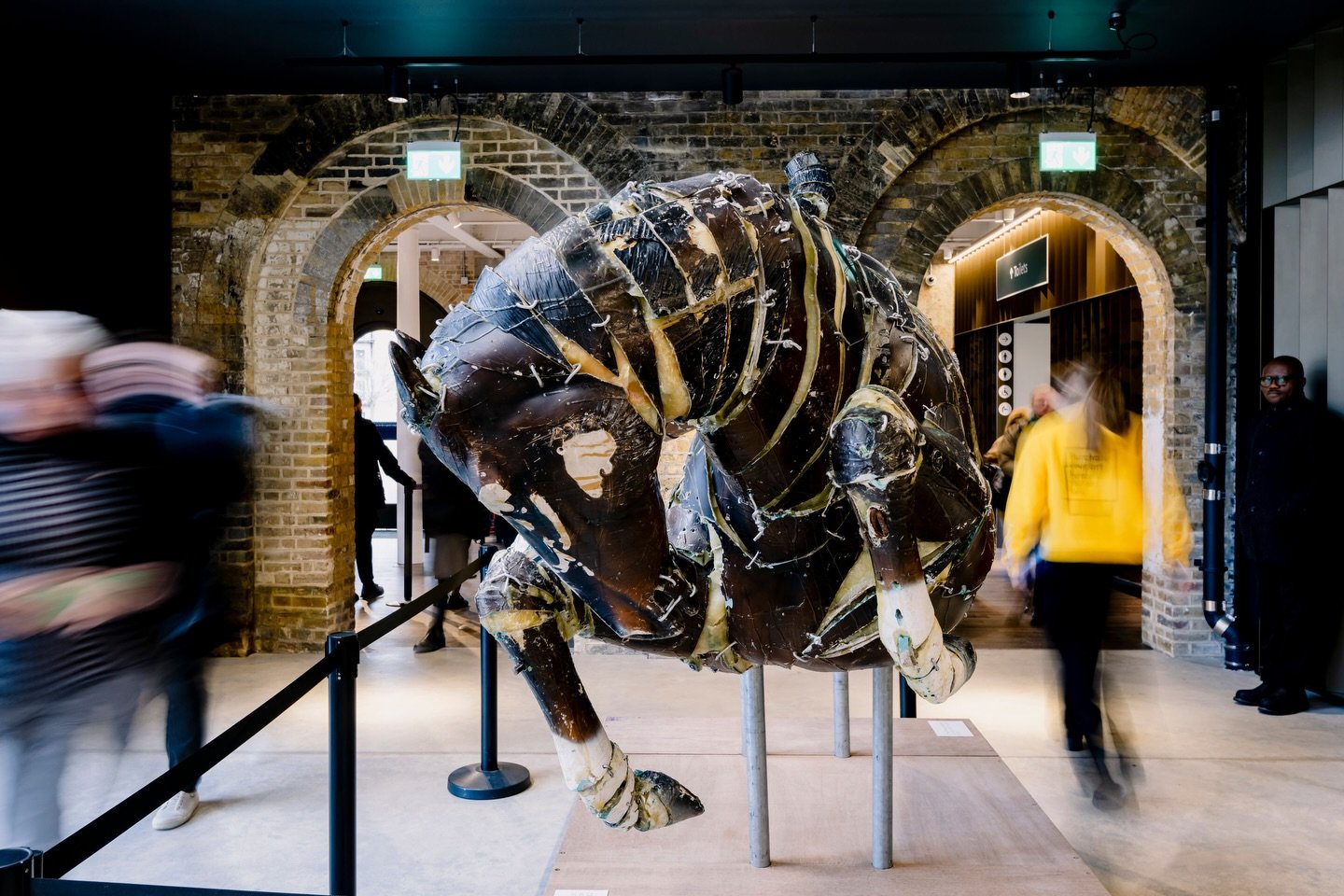 Happy Lunar New Year 🧧 🐎 

Year of the Fire Horse | This year is celebrated for its dynamic energy, symbolizing passion, change, and transformation. Horses represent strength, freedom, and spirited perseverance, and the element of fire magnifies th