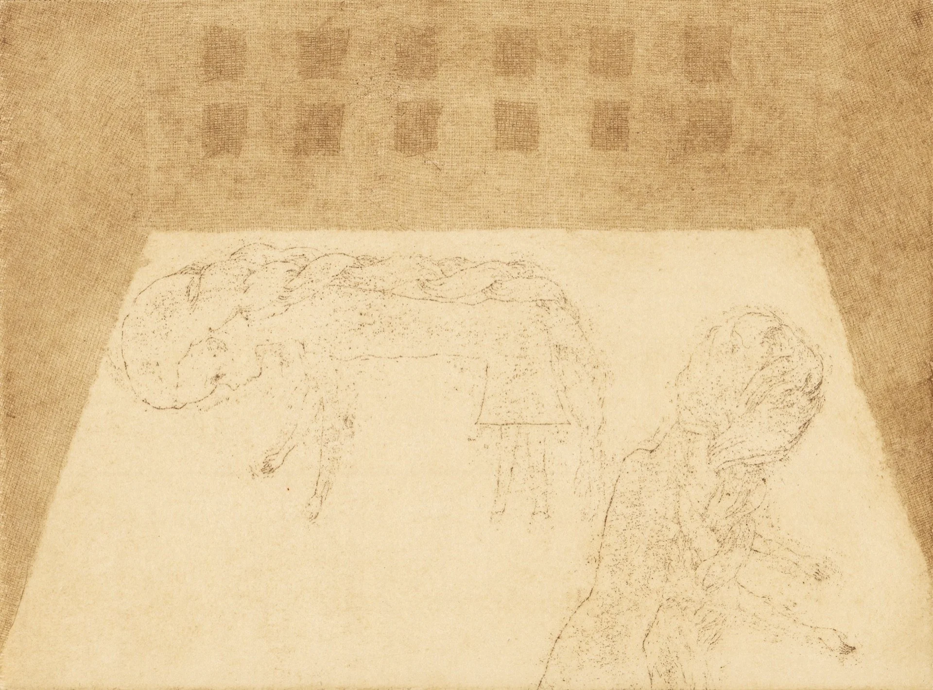 133764-0-U54543-F.jpg