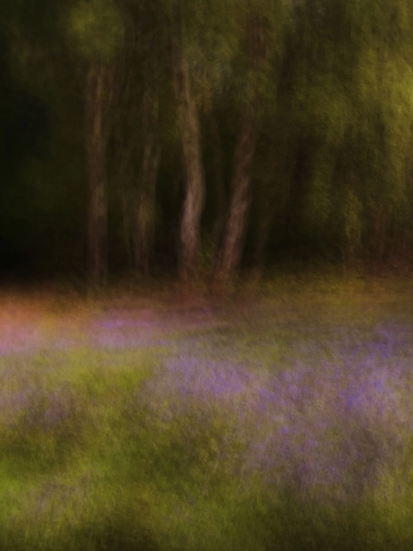 134916-0-U61928-F.jpg