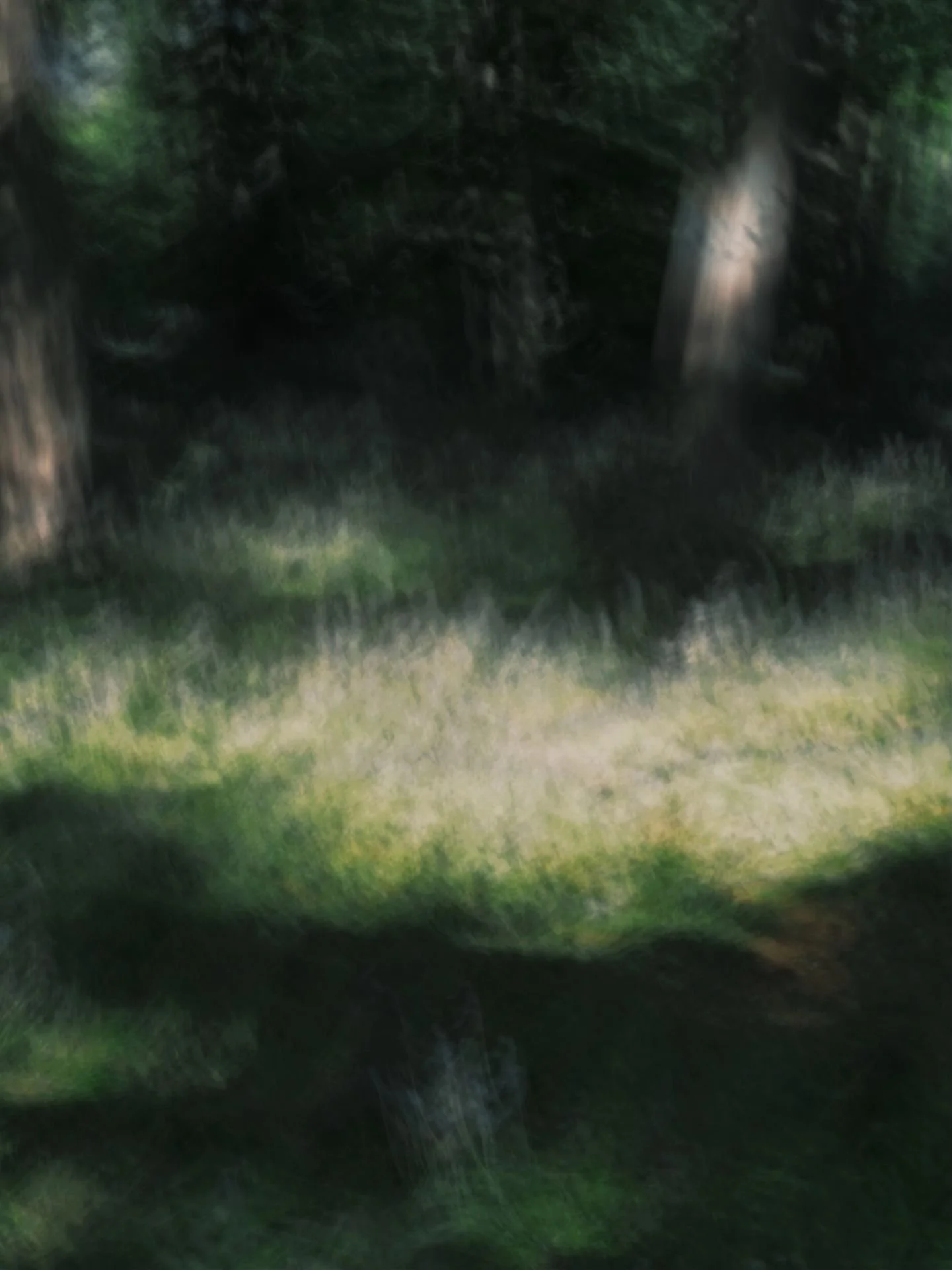 134946-0-U61928-F.jpg