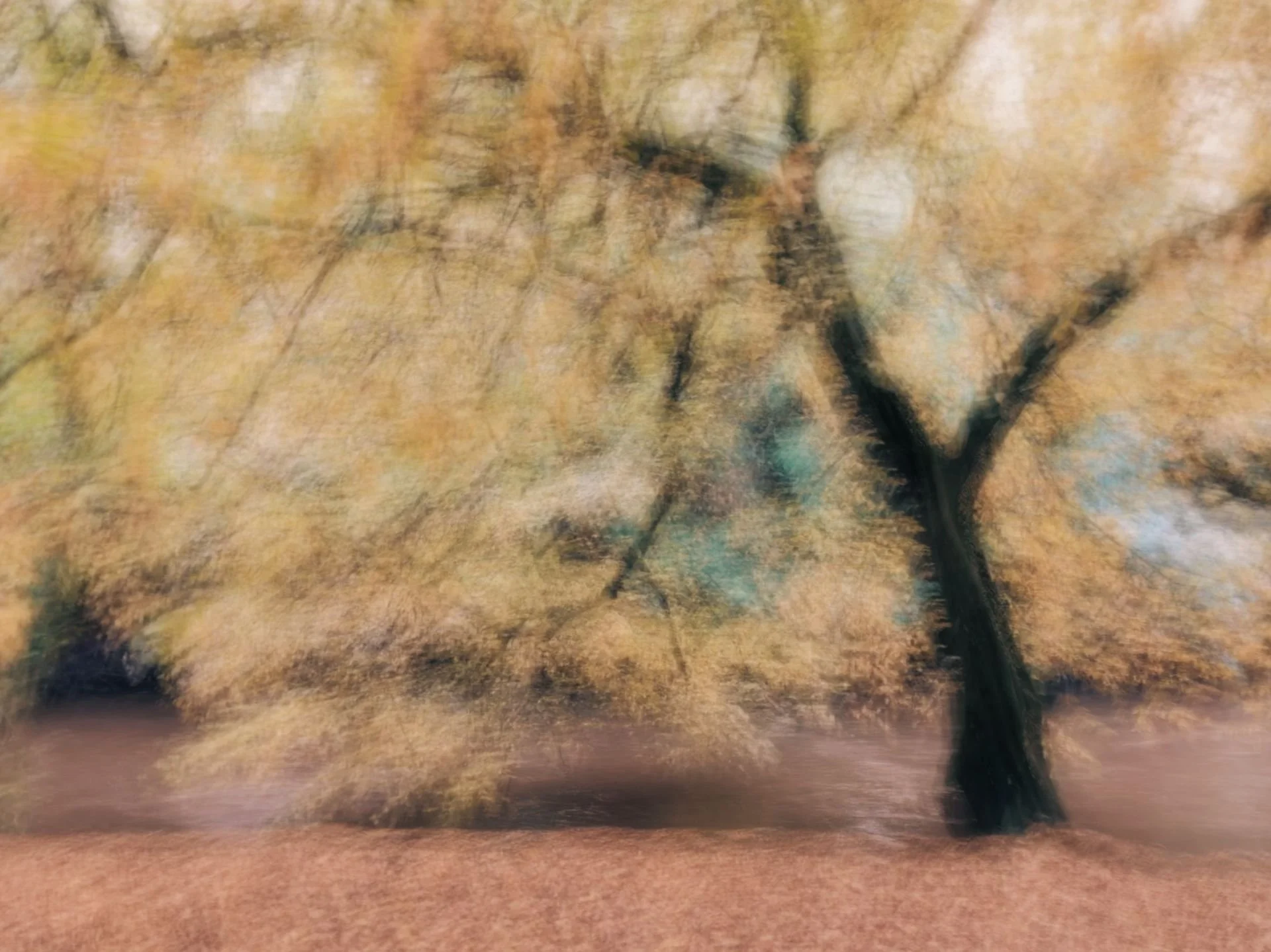 134947-0-U61928-F.jpg