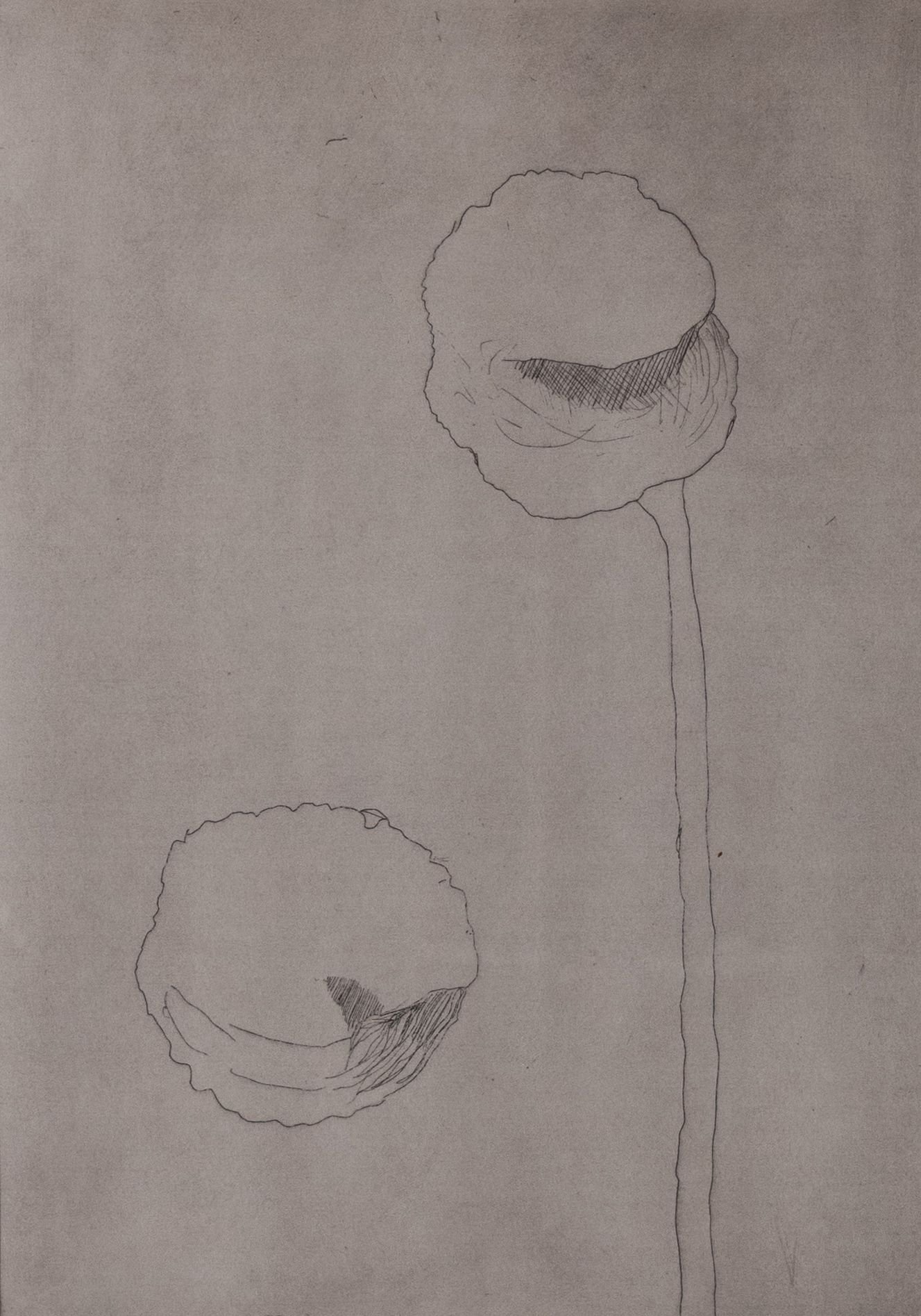 134566-0-U61873-F.jpg