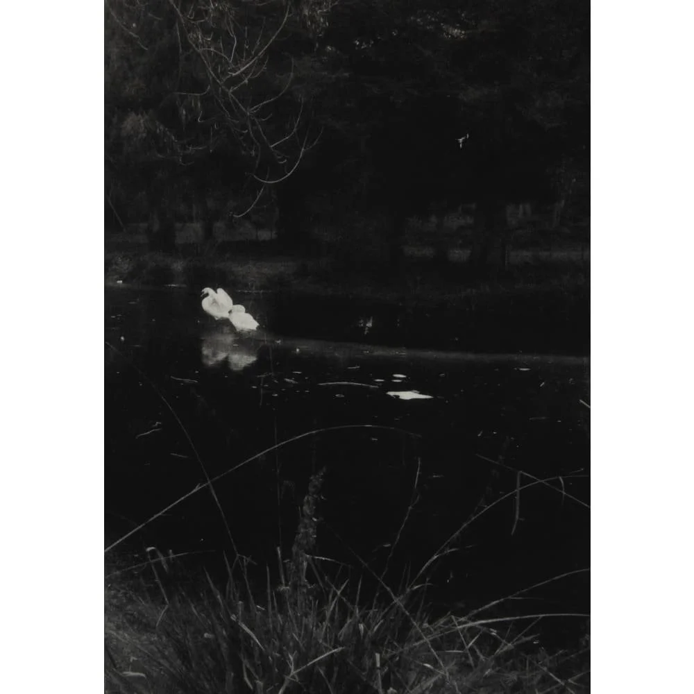 799-WdECx8X9mwmqJ3.jpg