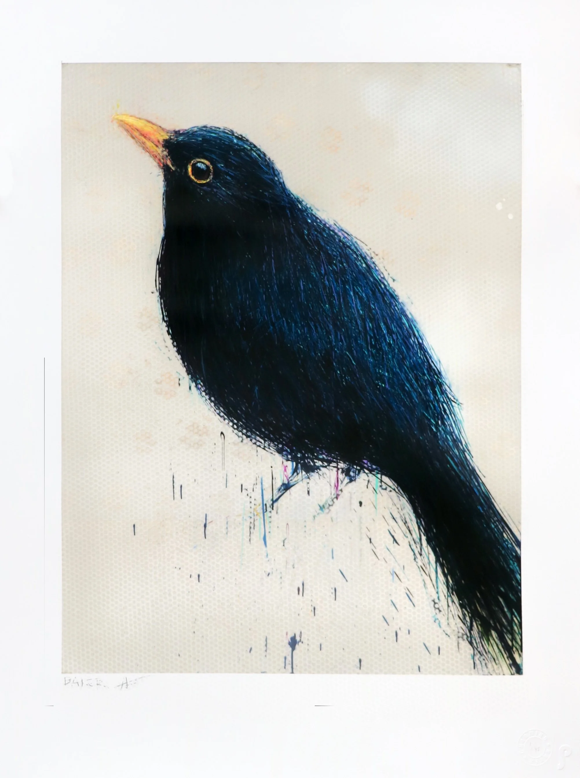 BlackBird copy.jpeg