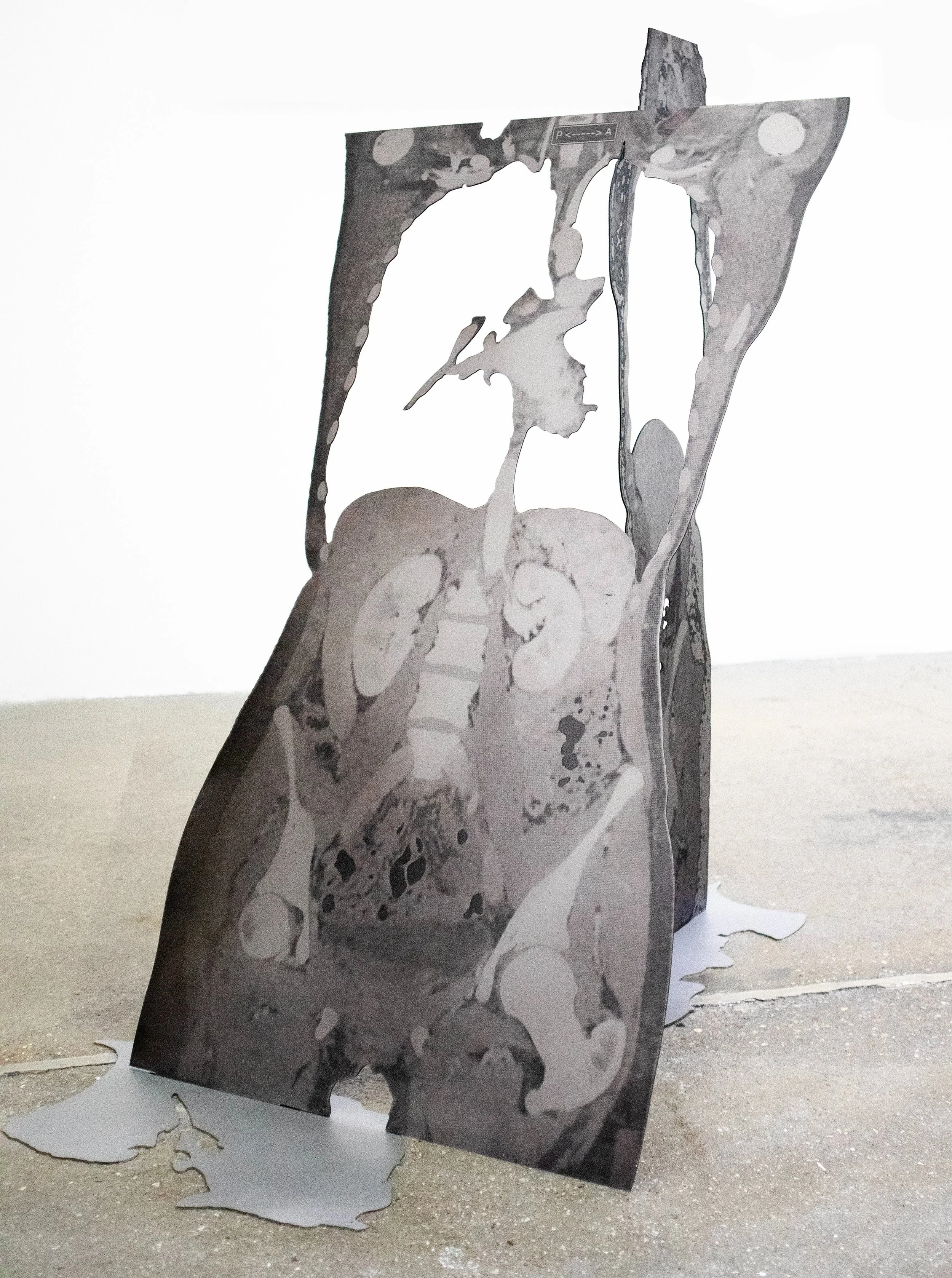 Anna Mays | In Parts III, 2026