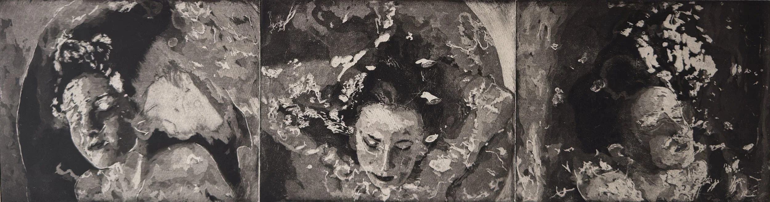 _Daydream_ Aquatint Etchings Triptych by Tanya Harris for ELP Woolwich Print Fair - Tanya Harris.JPG
