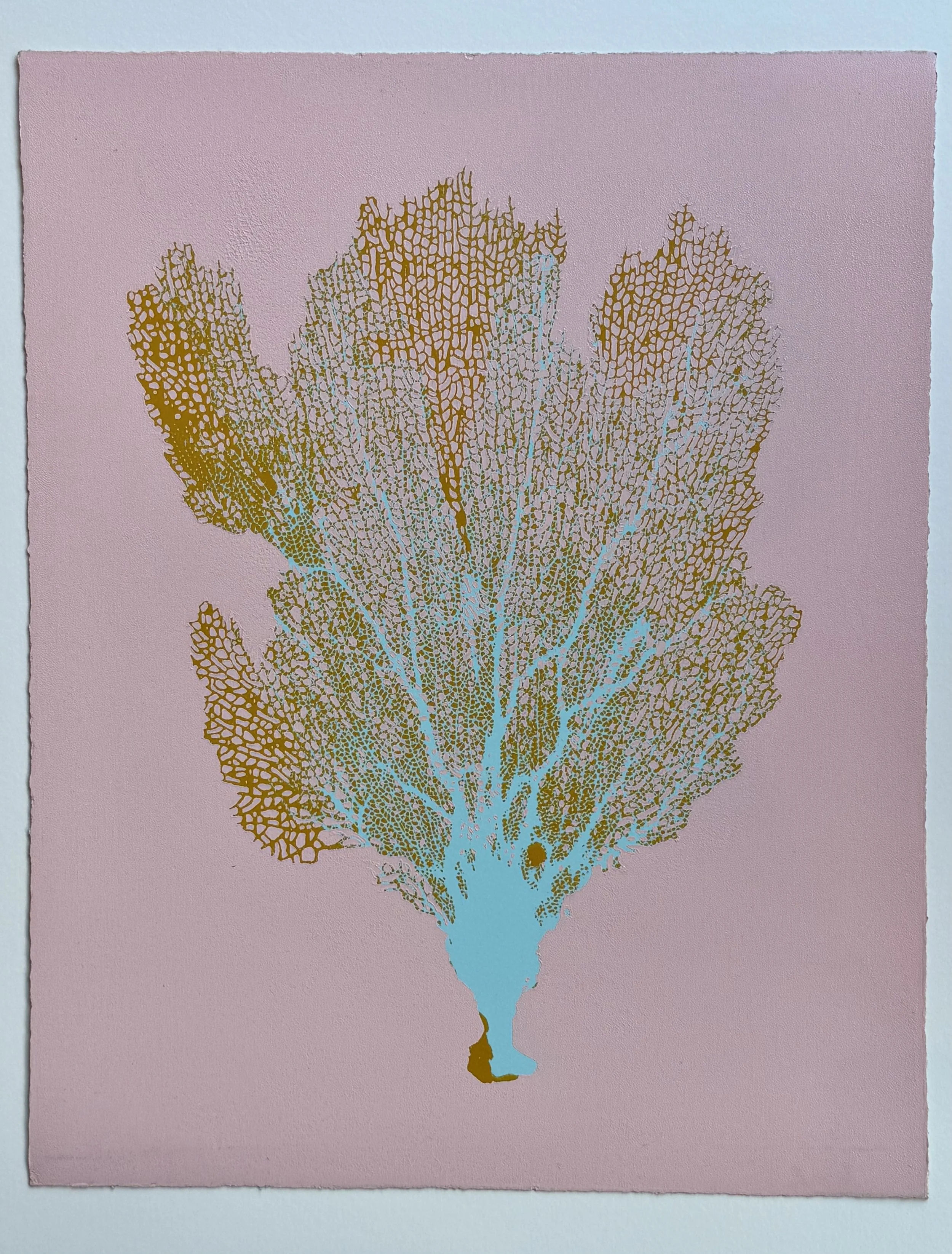 Jo de Pear - Sea Fan IV - Screenprint & Woodcut - 38 x 48cm - Unique 1_1 .jpg