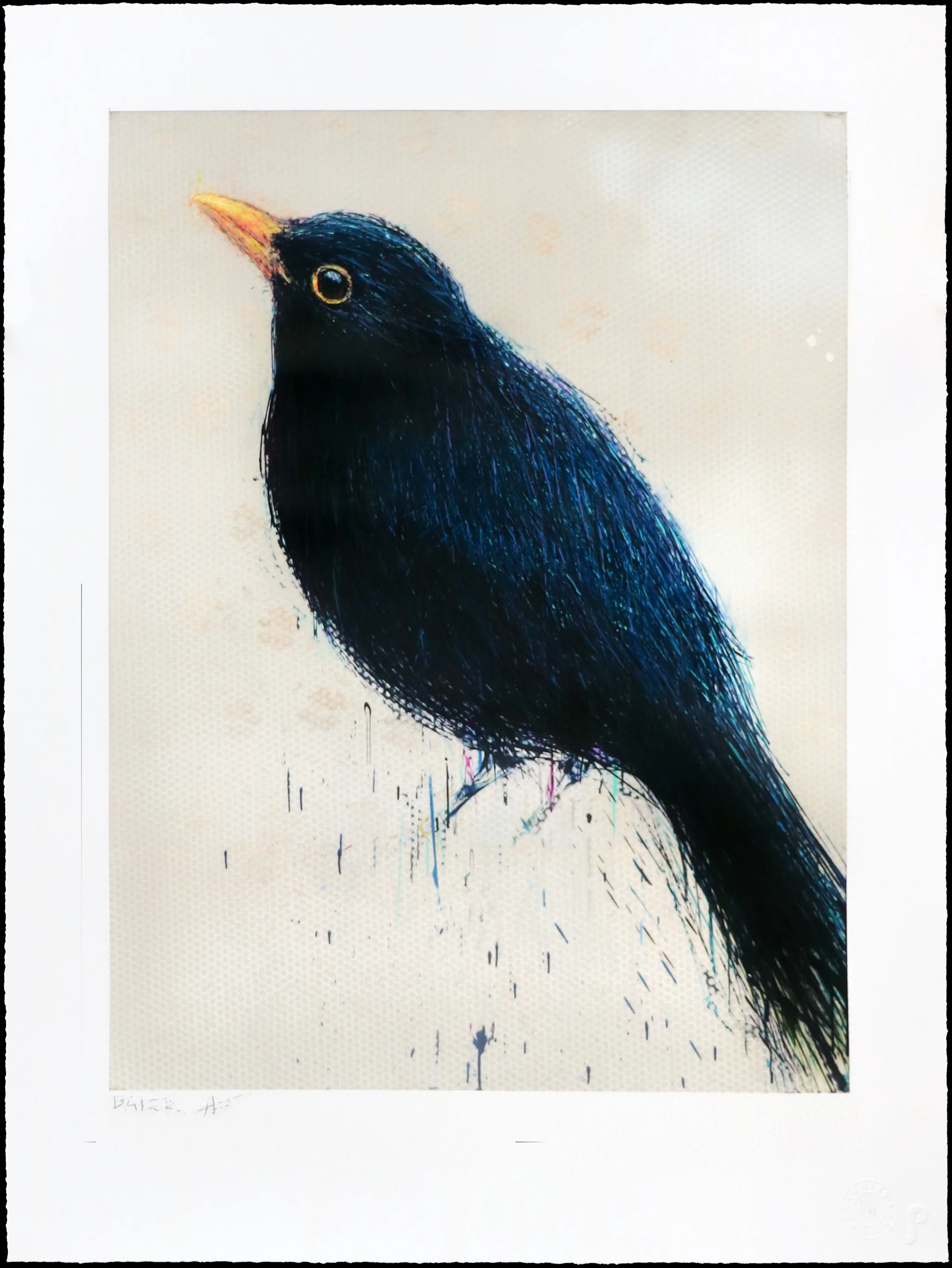 BlackBird.jpeg