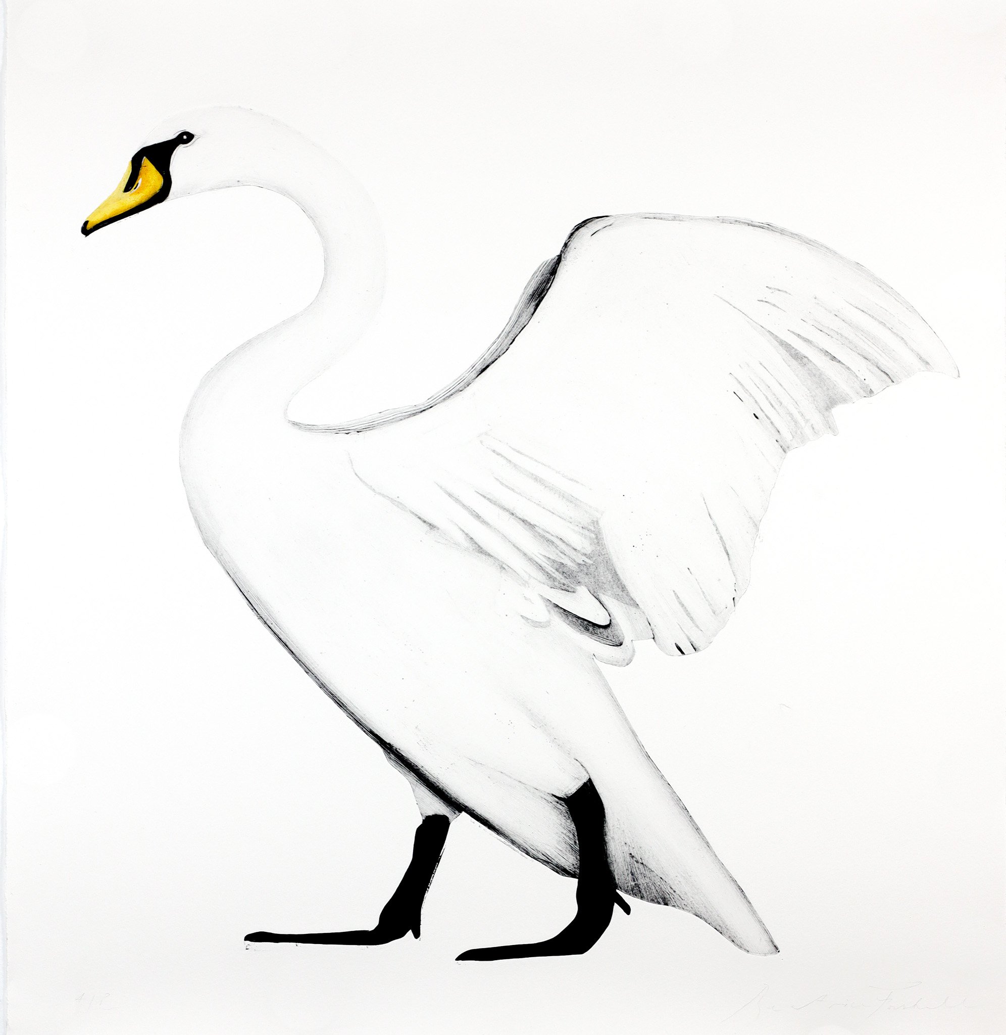 Untitled 33.jpg