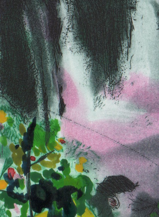 Alistair Gow_Iguazu_Detail.jpg