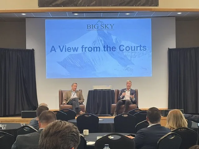 A View from the Courts.jpeg