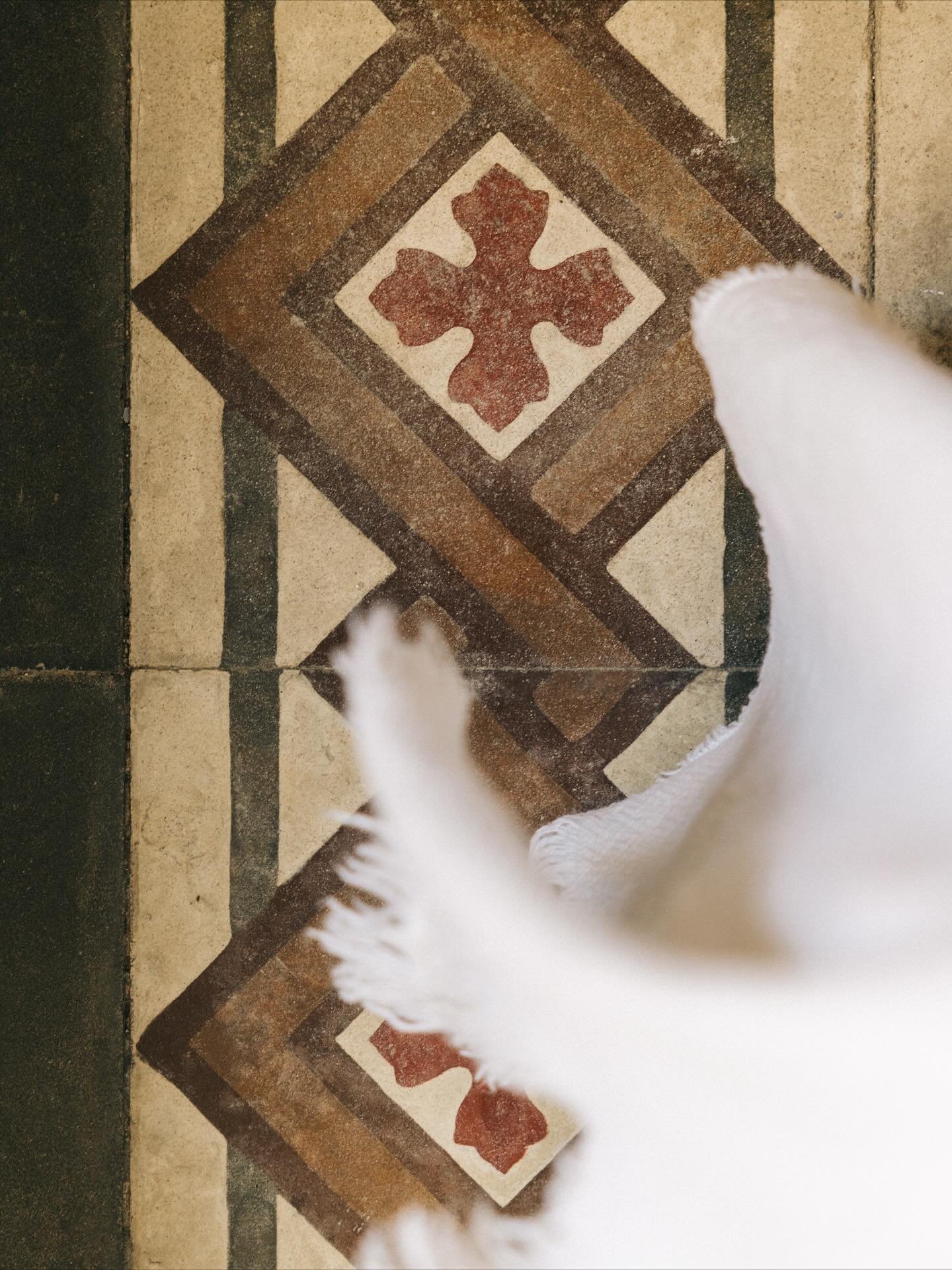 Palais Gentile, guest house in Matino
@palaisgentile 

#palaisgentile #matino #puglia&nbsp;#apulia&nbsp;#architecture&nbsp;#drone&nbsp;#architecturephotography&nbsp;#minimalist&nbsp;#interiordesign&nbsp;#minimalisthome&nbsp;#pugliahome&nbsp;#weareinp