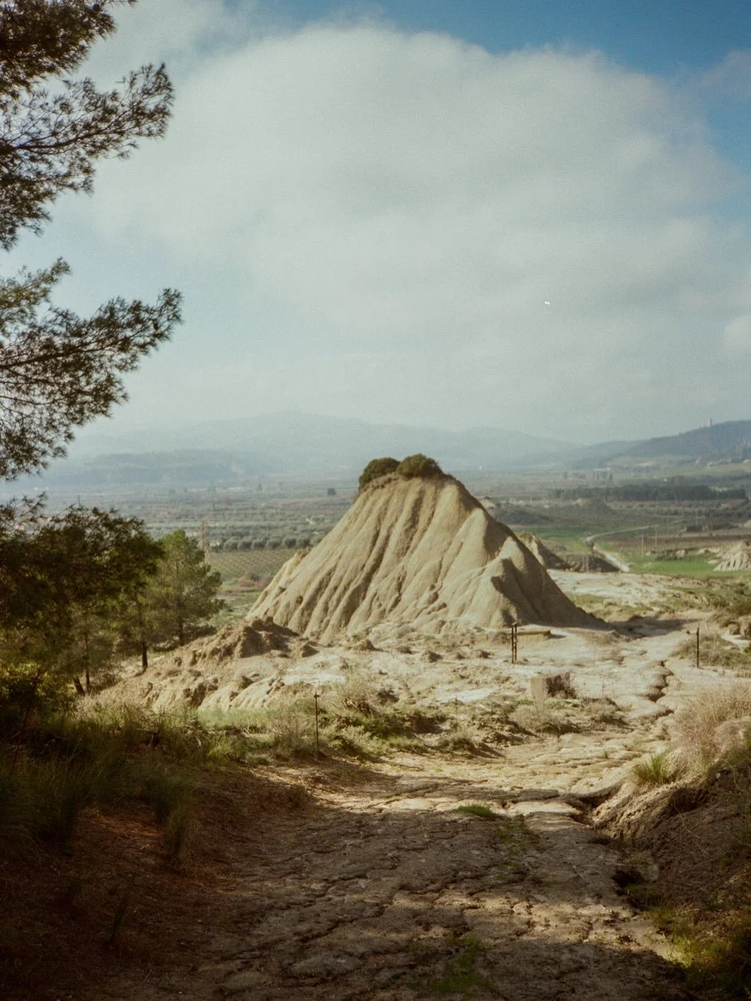 Calanchi, Basilicata.
Soft light, raw earth, and the grain of film preserving what the eye cannot hold.

#filmphotography #analogphotography #35mmfilm