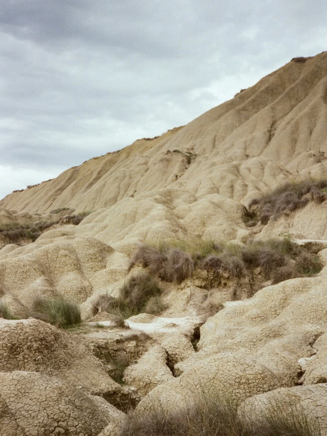 Film frames from the Calanchi. Basilicata, raw and quiet.

#teatrodeicalanchi #filmphoto #basilicata