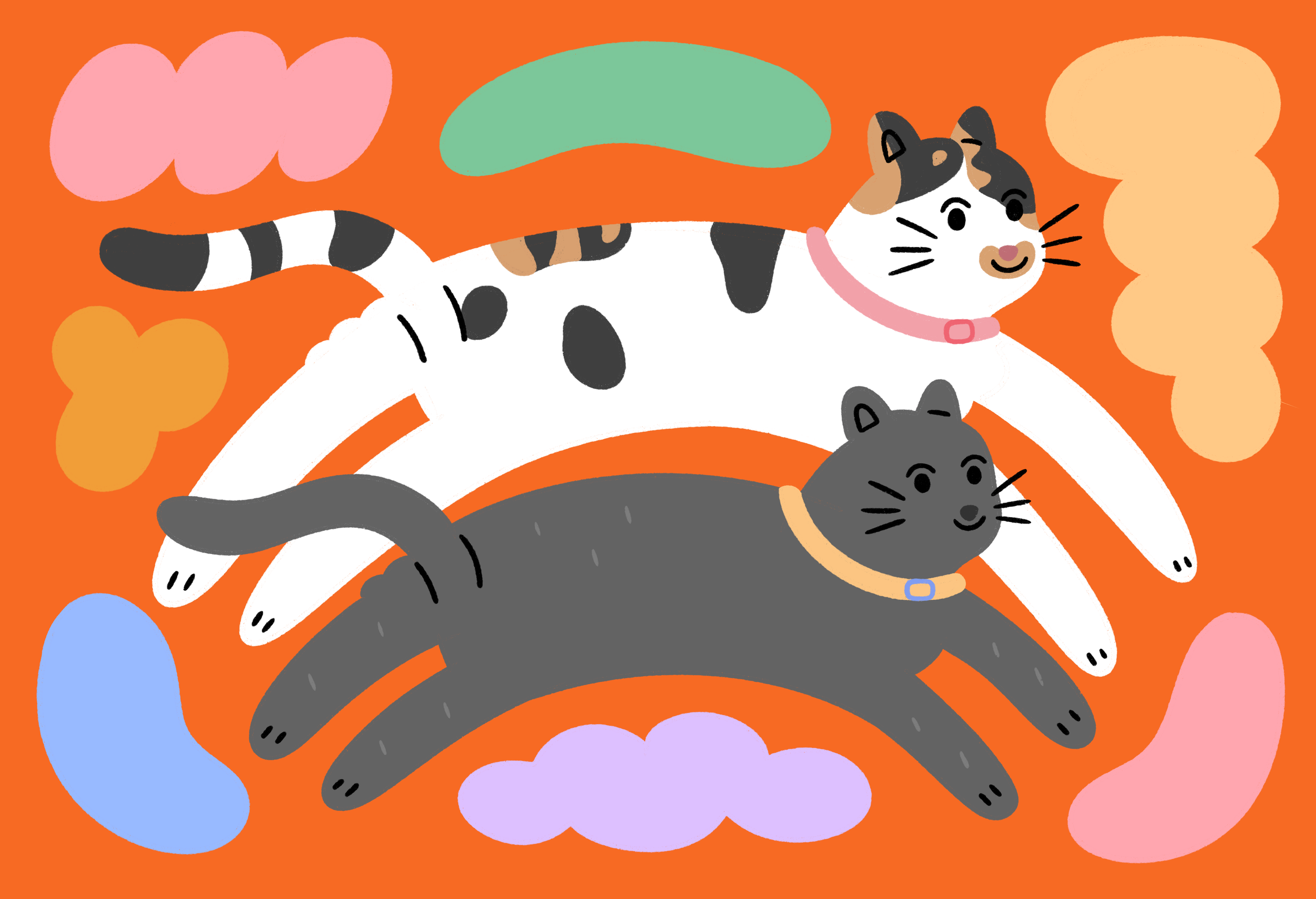 Untitled_Artwork 1.png