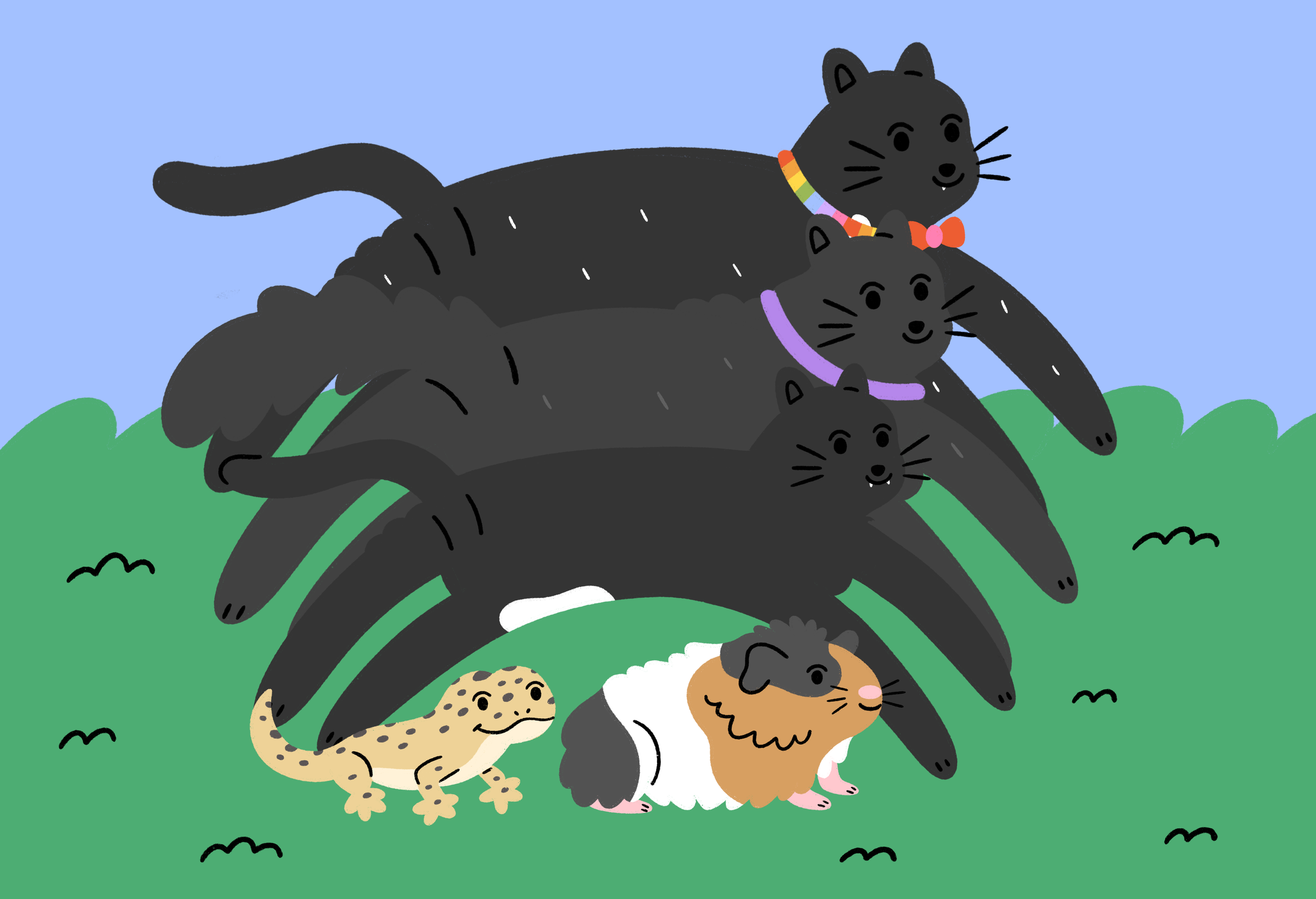 Untitled_Artwork.png
