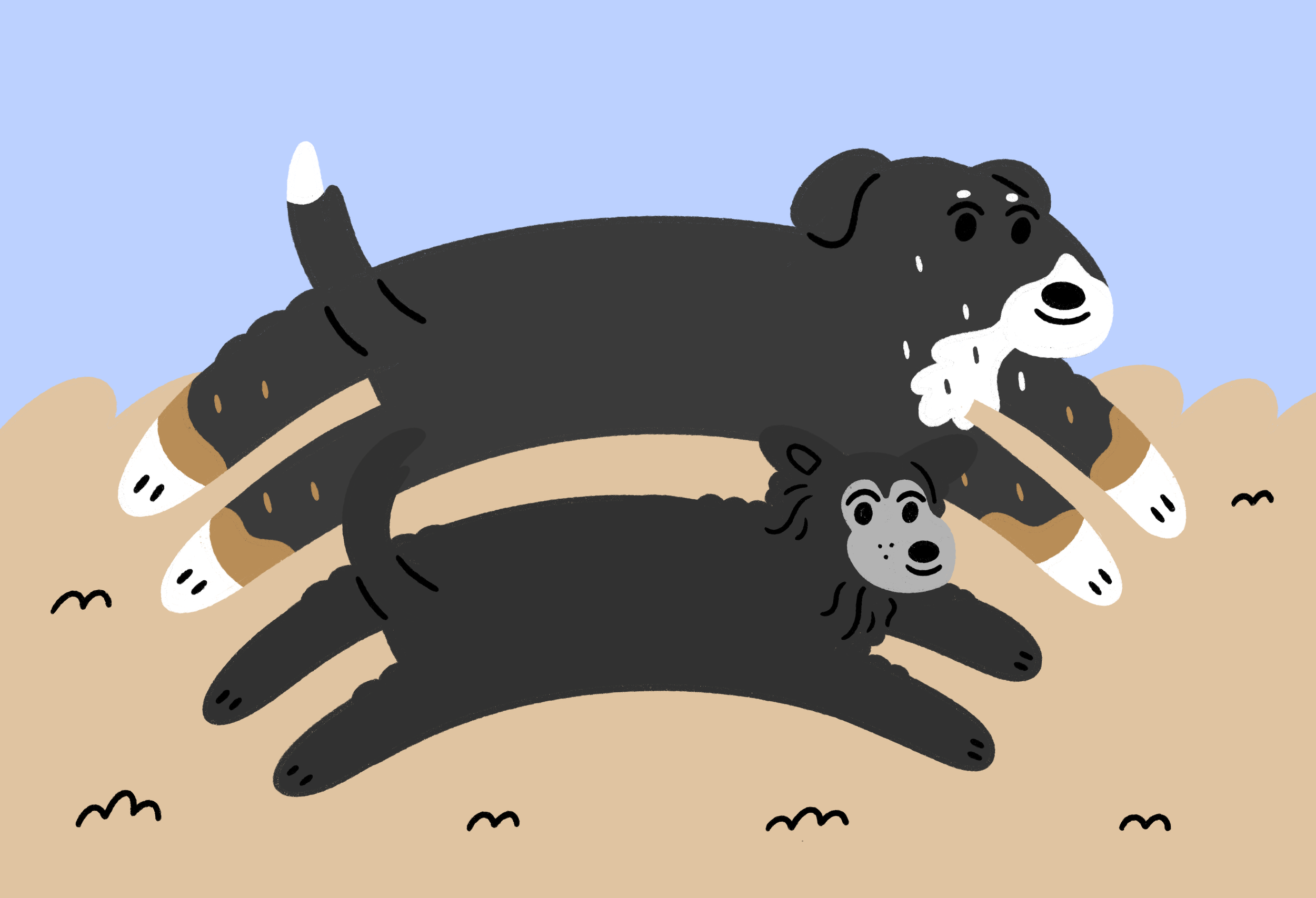 Untitled_Artwork 6.png