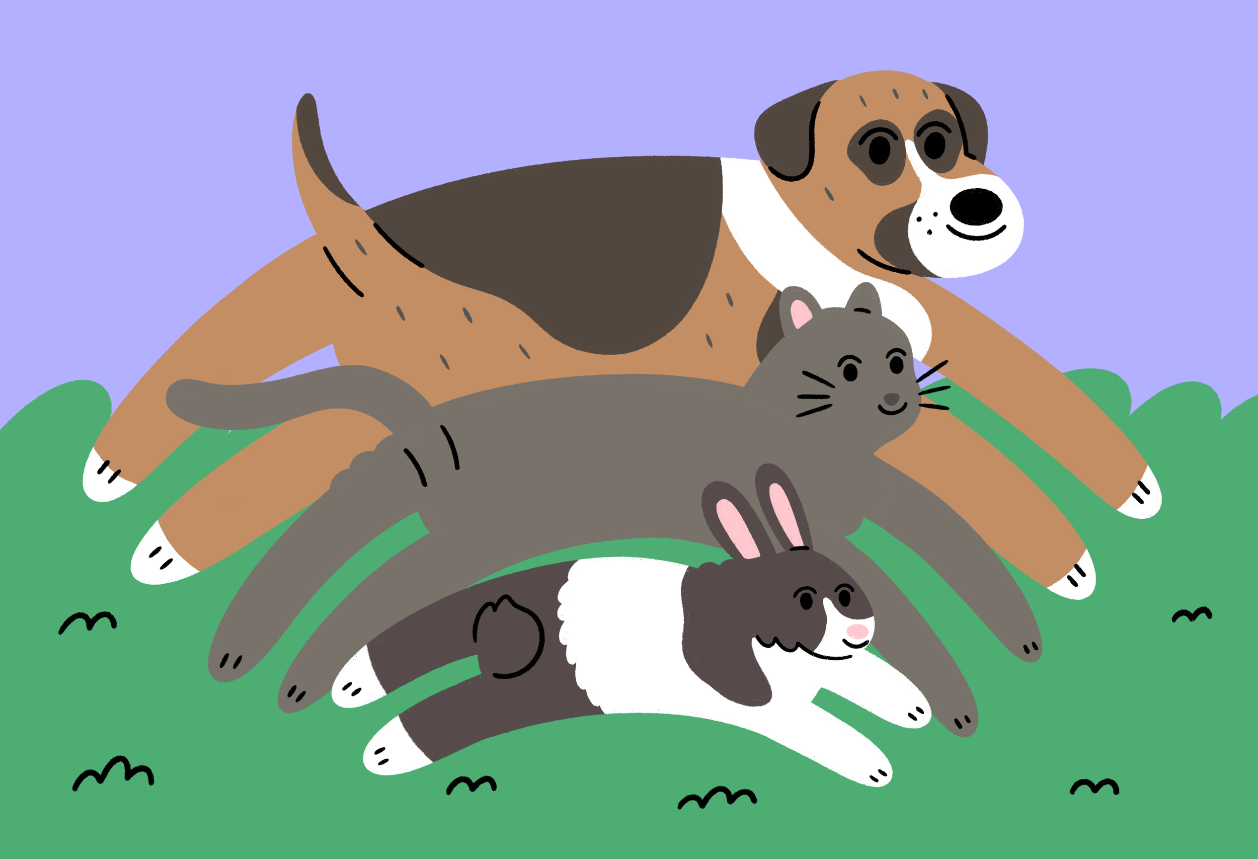Untitled_Artwork 3.png