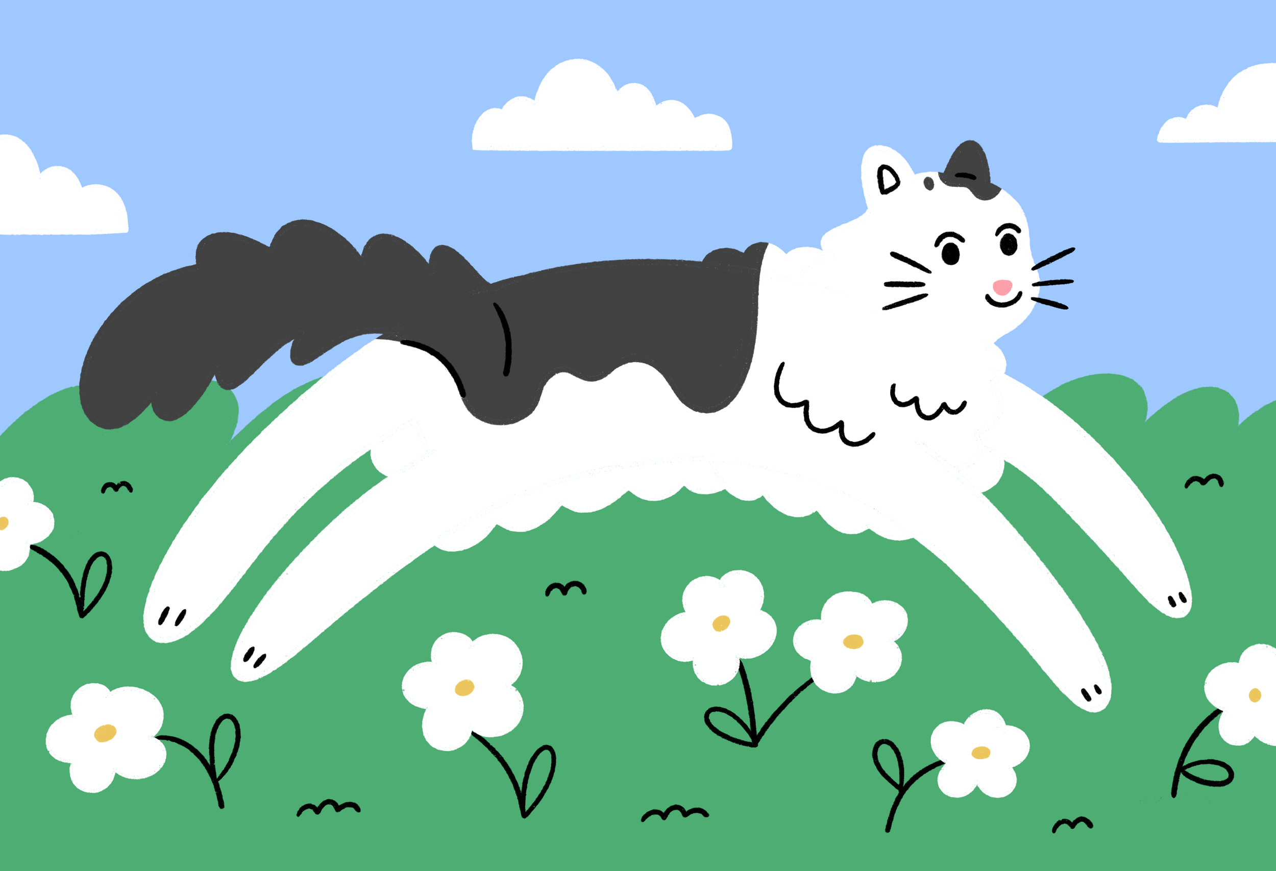 Untitled_Artwork.png