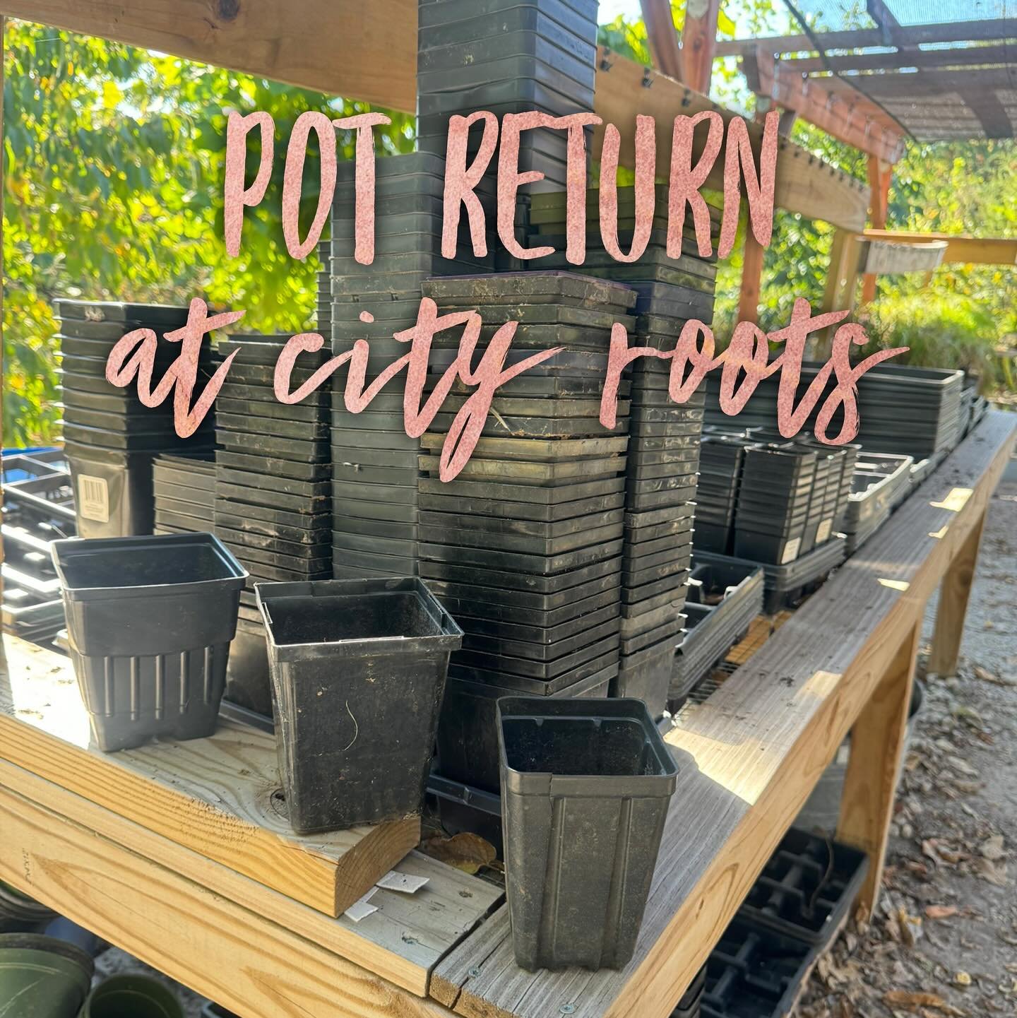 City Roots will gladly take back any of our undamaged pots or any similar pots. We accept square quart pots, 3in starter pots, black tree &amp; shrub pots in 1-5 gallon size. Thanks to everyone who uses our pot return program, we super appreciate it.