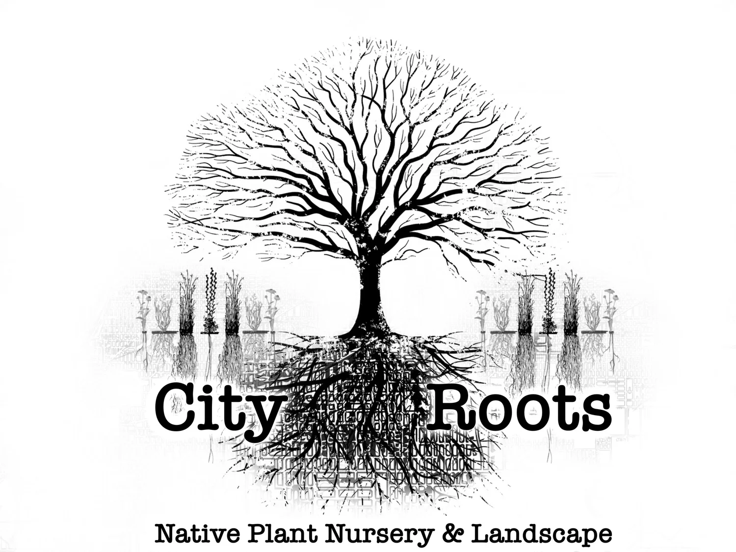 City Roots Nursery