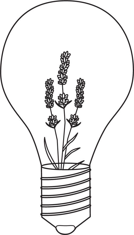 Lightbulb_black_trn.png
