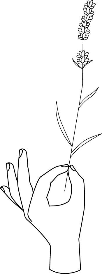 Hold1_black_trn.png