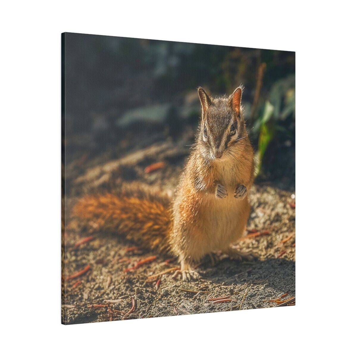Cute chipmunk posing in adorable wildlife photography moment, printed on canvas. Perfect for nature enthusiasts and home décor.
