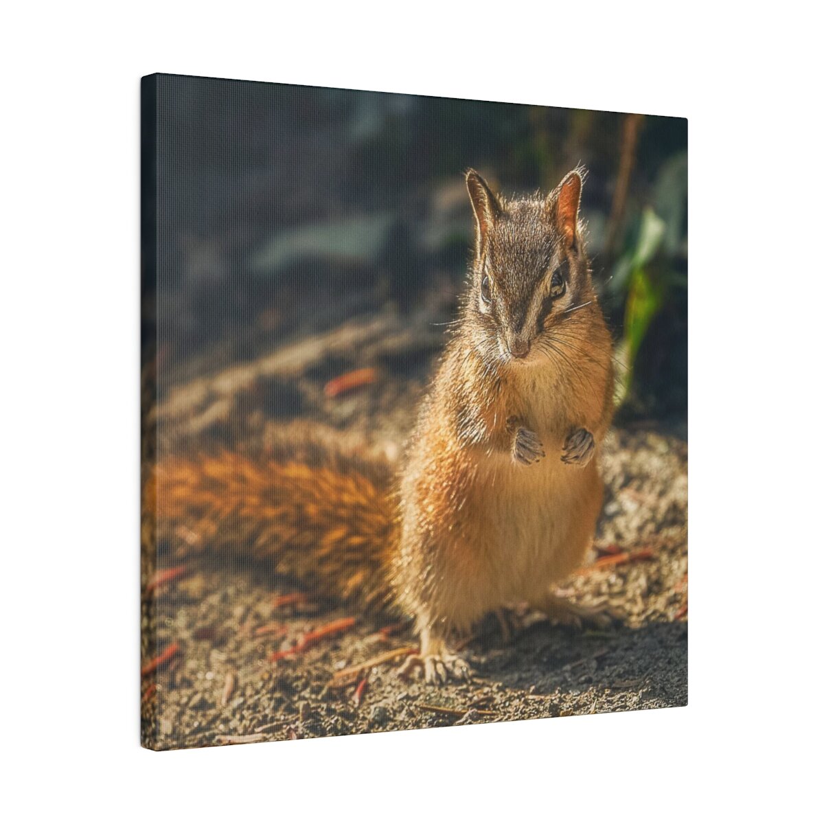 Cute chipmunk posing in adorable wildlife photography moment, printed on canvas. Perfect for nature enthusiasts and home décor.