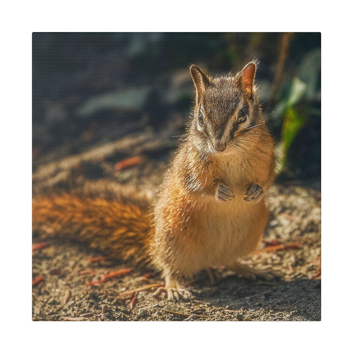 Cute chipmunk posing in adorable wildlife photography moment, printed on canvas. Perfect for nature enthusiasts and home décor.