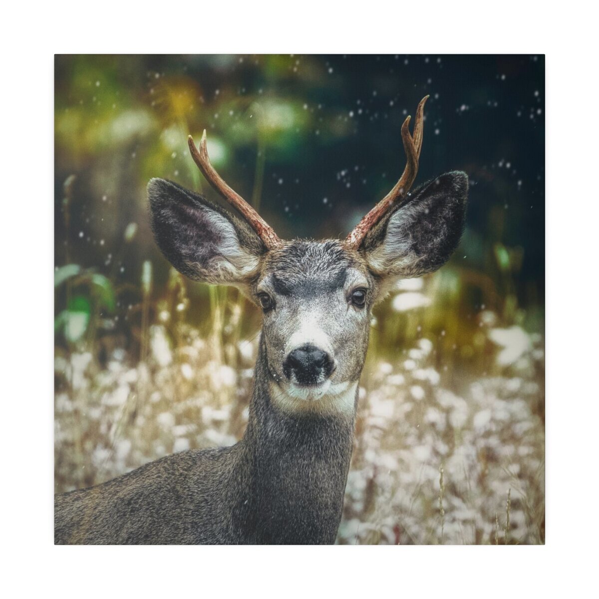 Winter Wildlife Canvas Print - Majestic Deer Antlers, Nature Wall Art
