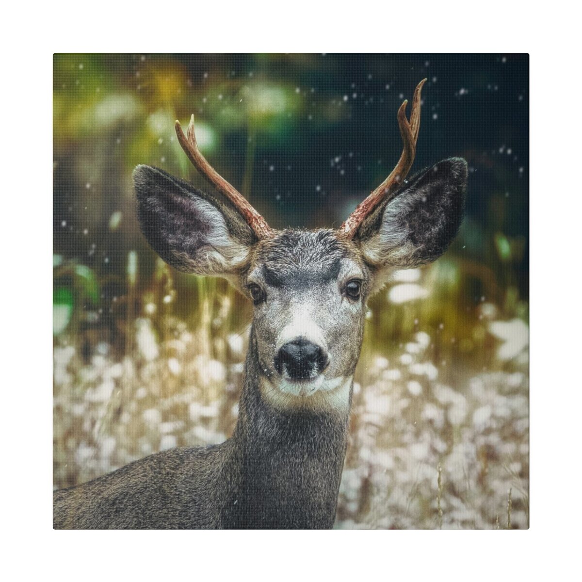 Winter Wildlife Canvas Print - Majestic Deer Antlers, Nature Wall Art