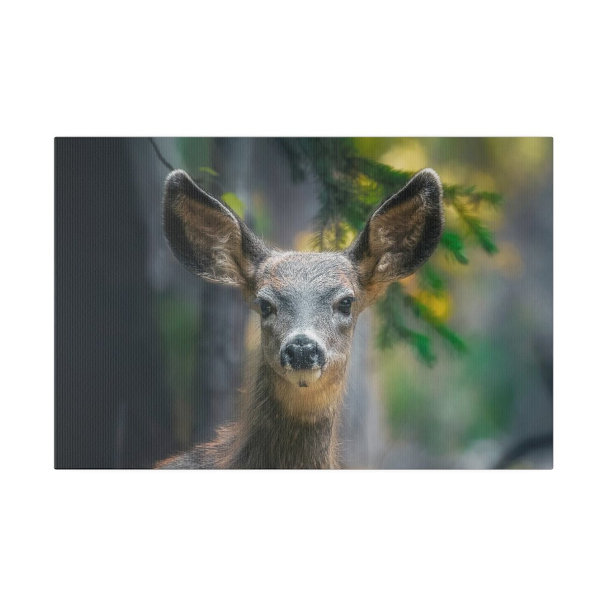 Front view of a canvas print featuring a closeup shot of an adorable, inquisitive deer fawn nestled in the forest. Premium wildlife photography wall art.